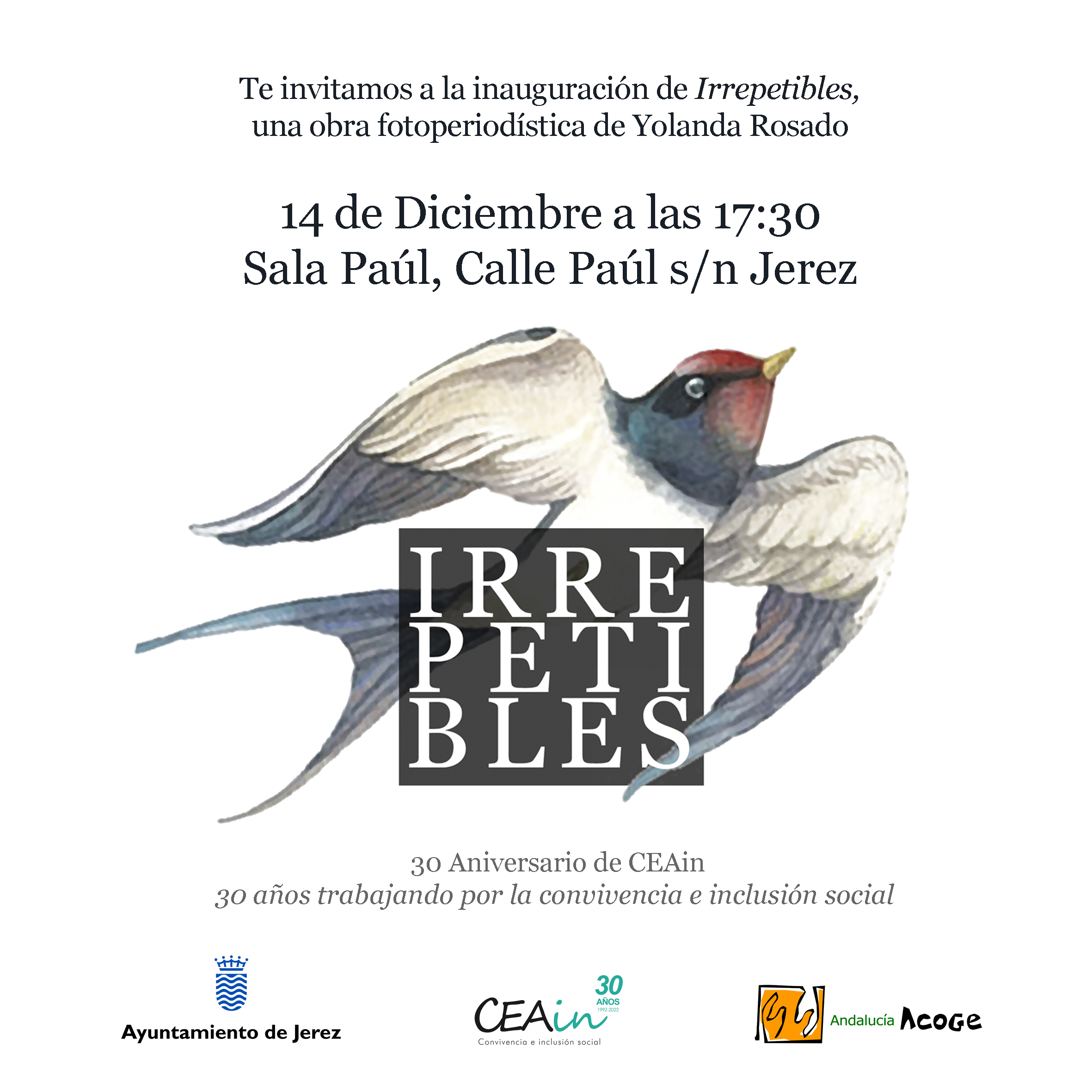 Exposición Irrepetibles