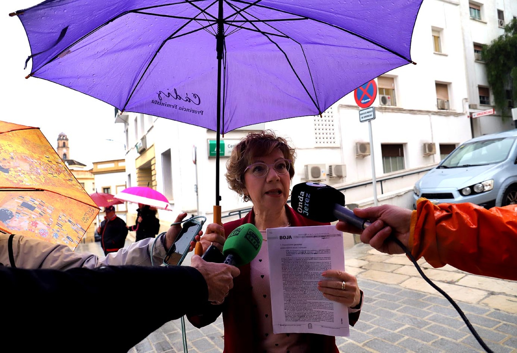 Collado. Privatización Sanidad