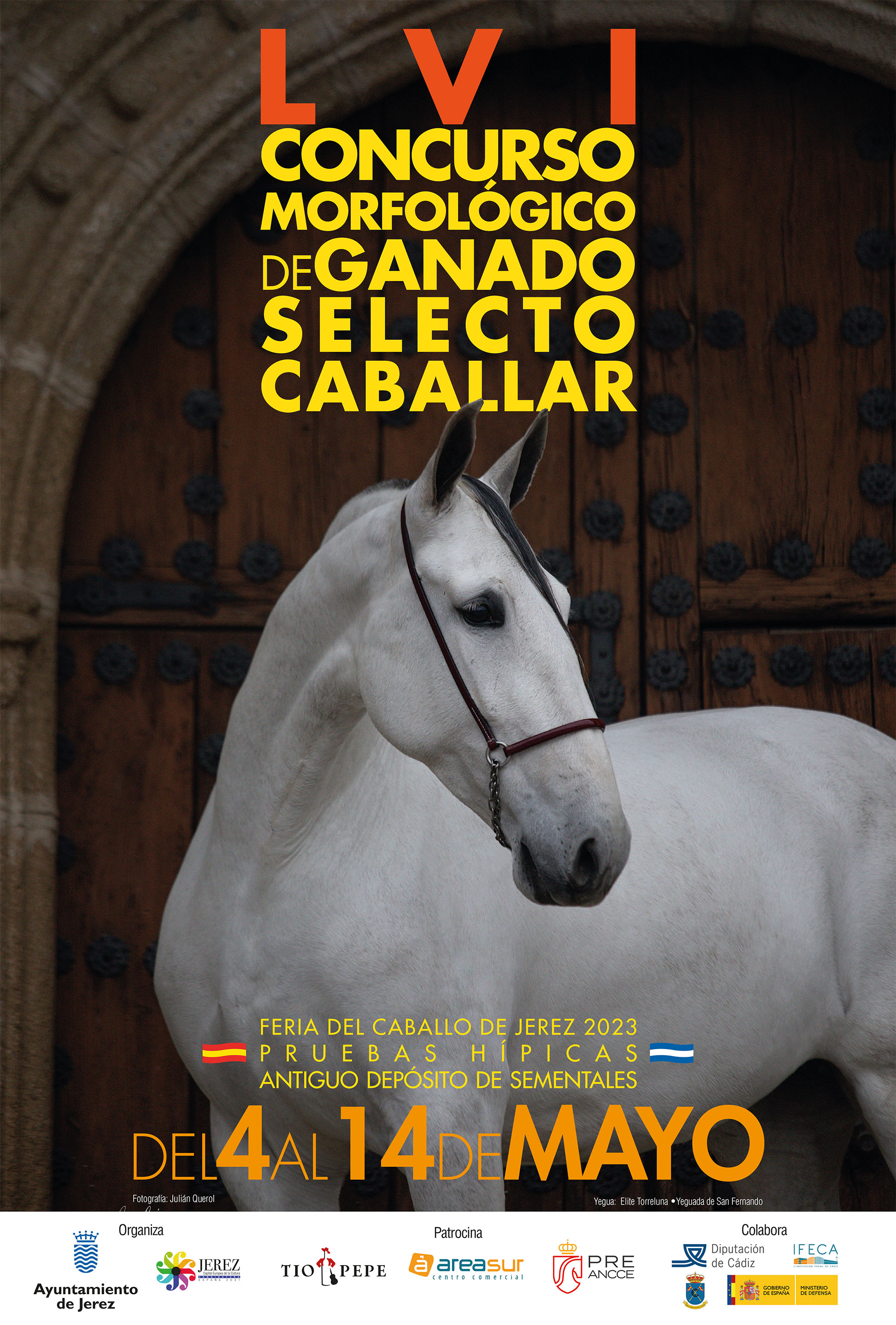 Cartel Concurso Morfológico Jerez 2023