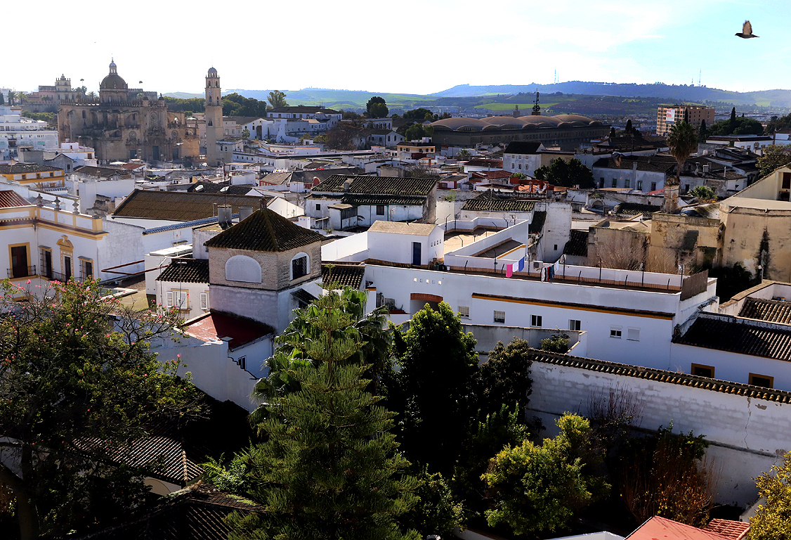 Jerez centro histórico