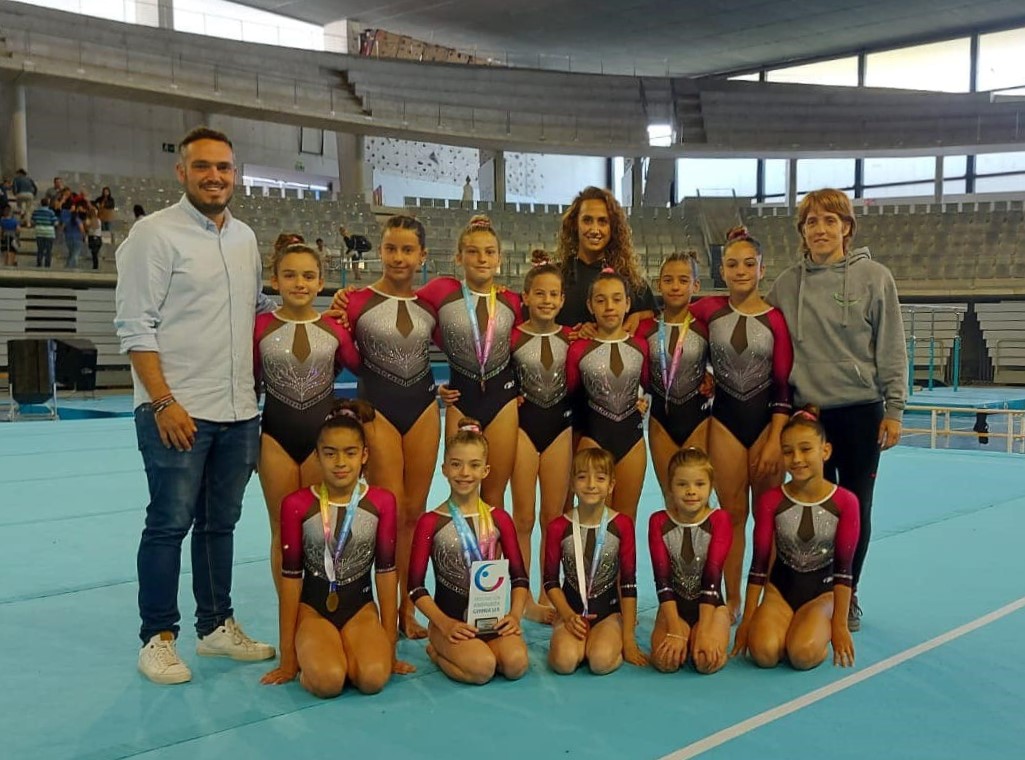 Gimnasia artística