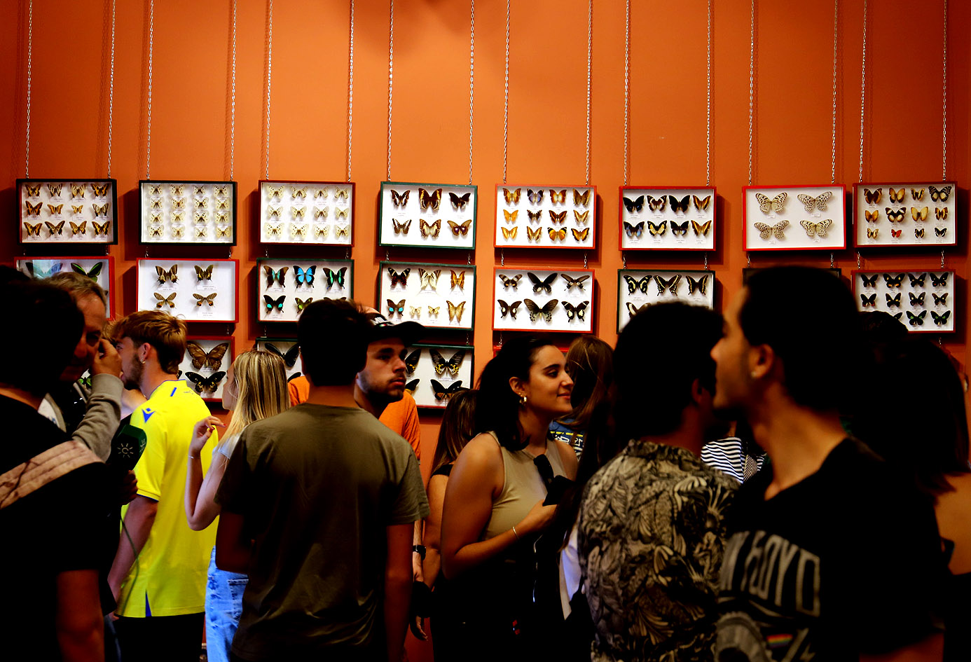 Exposición insectos en el Zoo