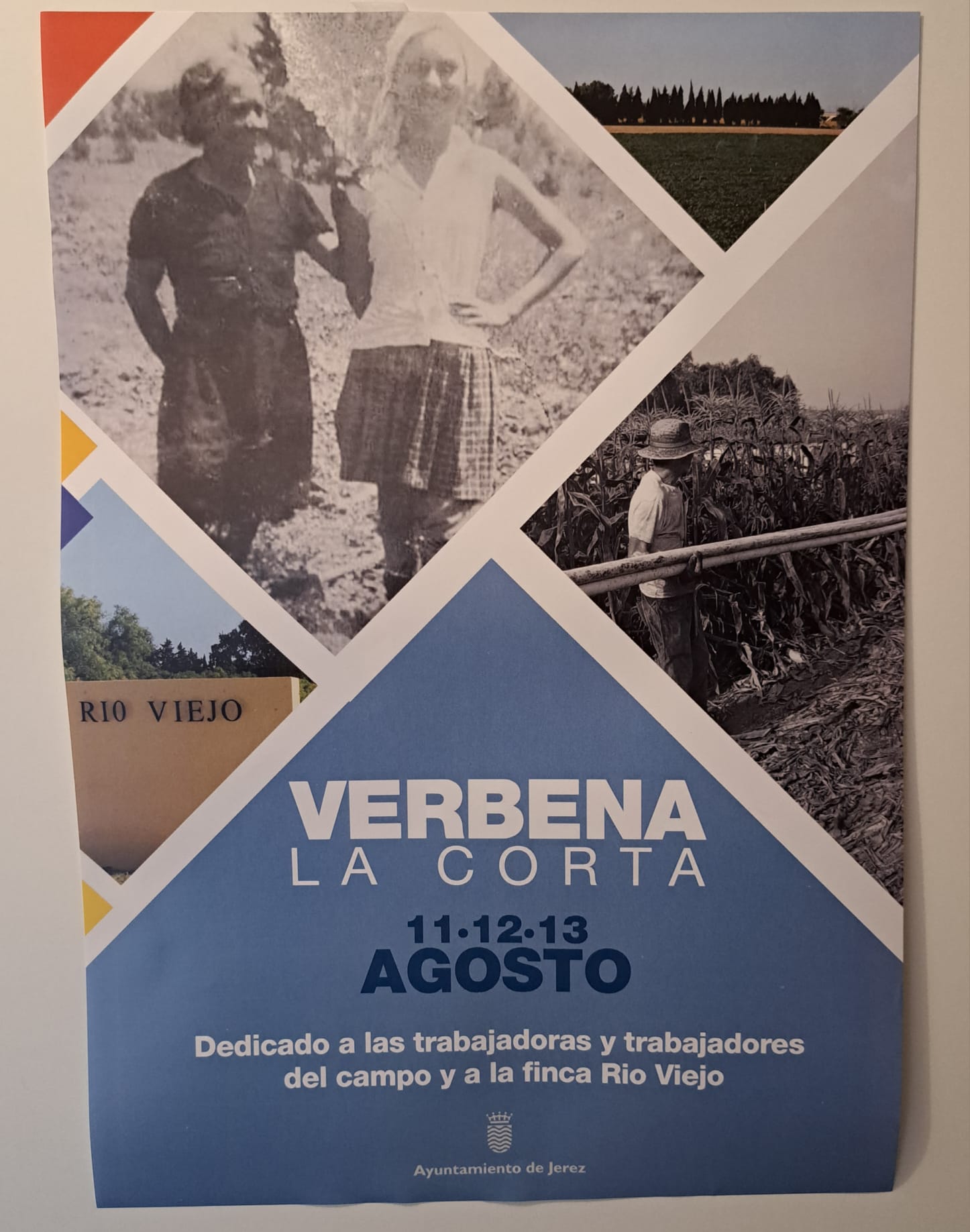 Verbena de La Corta
