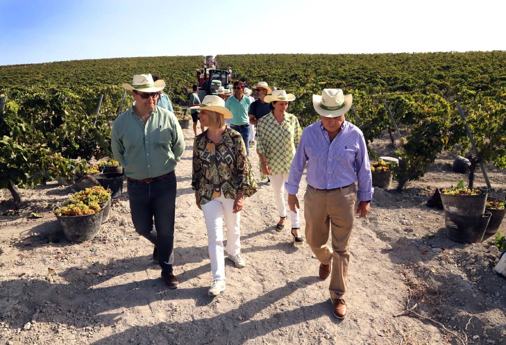 Vendimia de Jerez