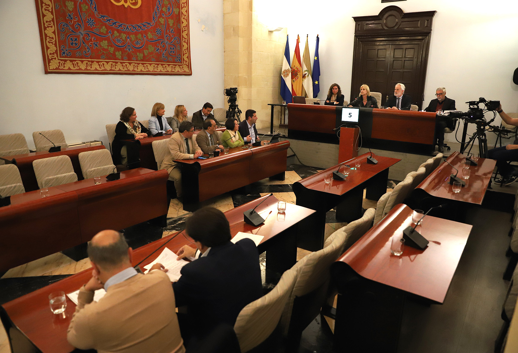 Pleno extraordinario sobre la anmistía