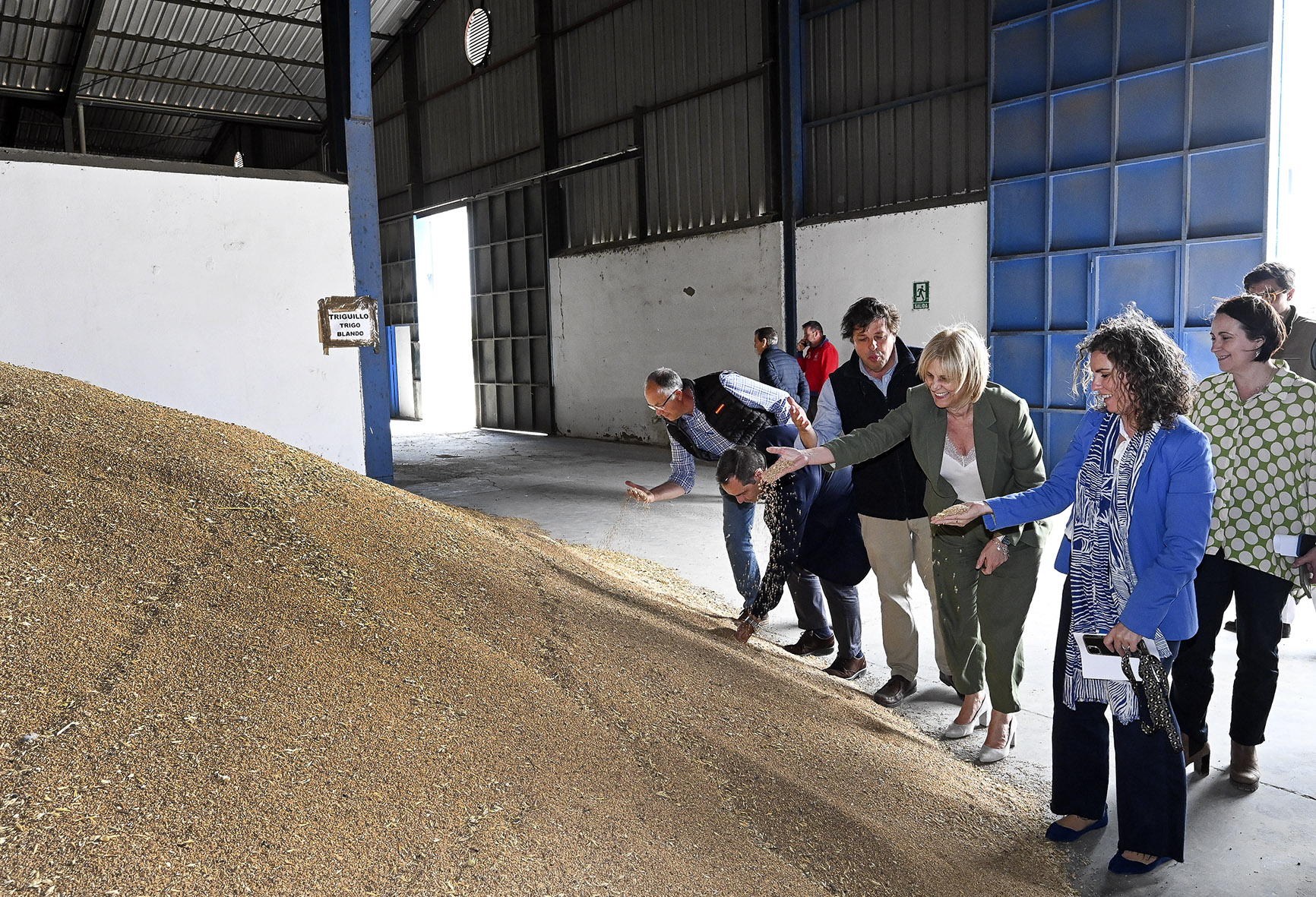 Cooperativa San Dionisio