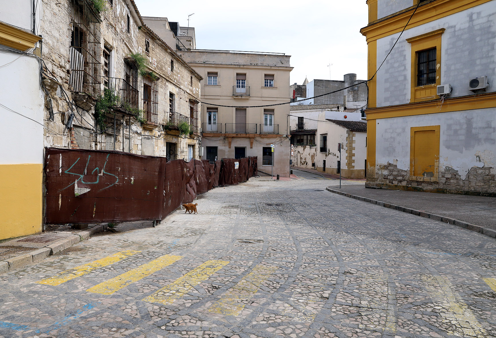 Obras entorno eje Arroyo