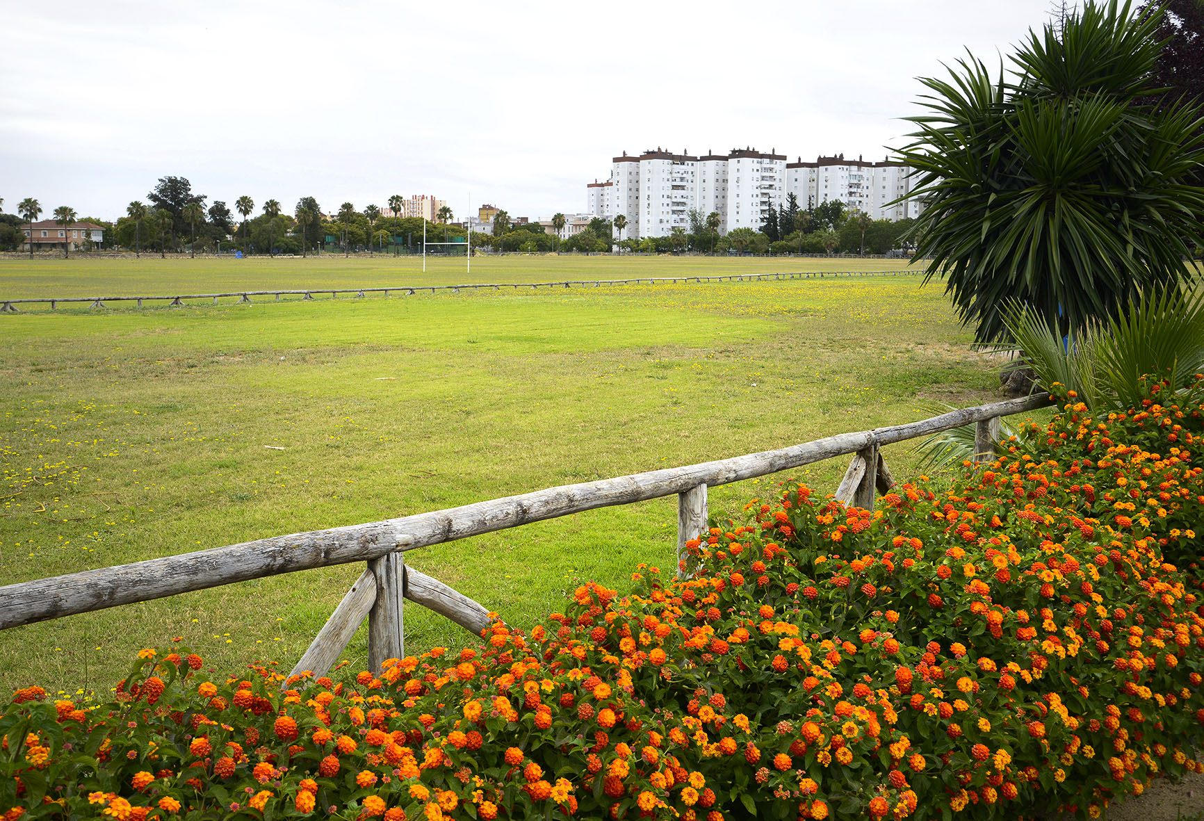 Archivo. Pradera de Chapín