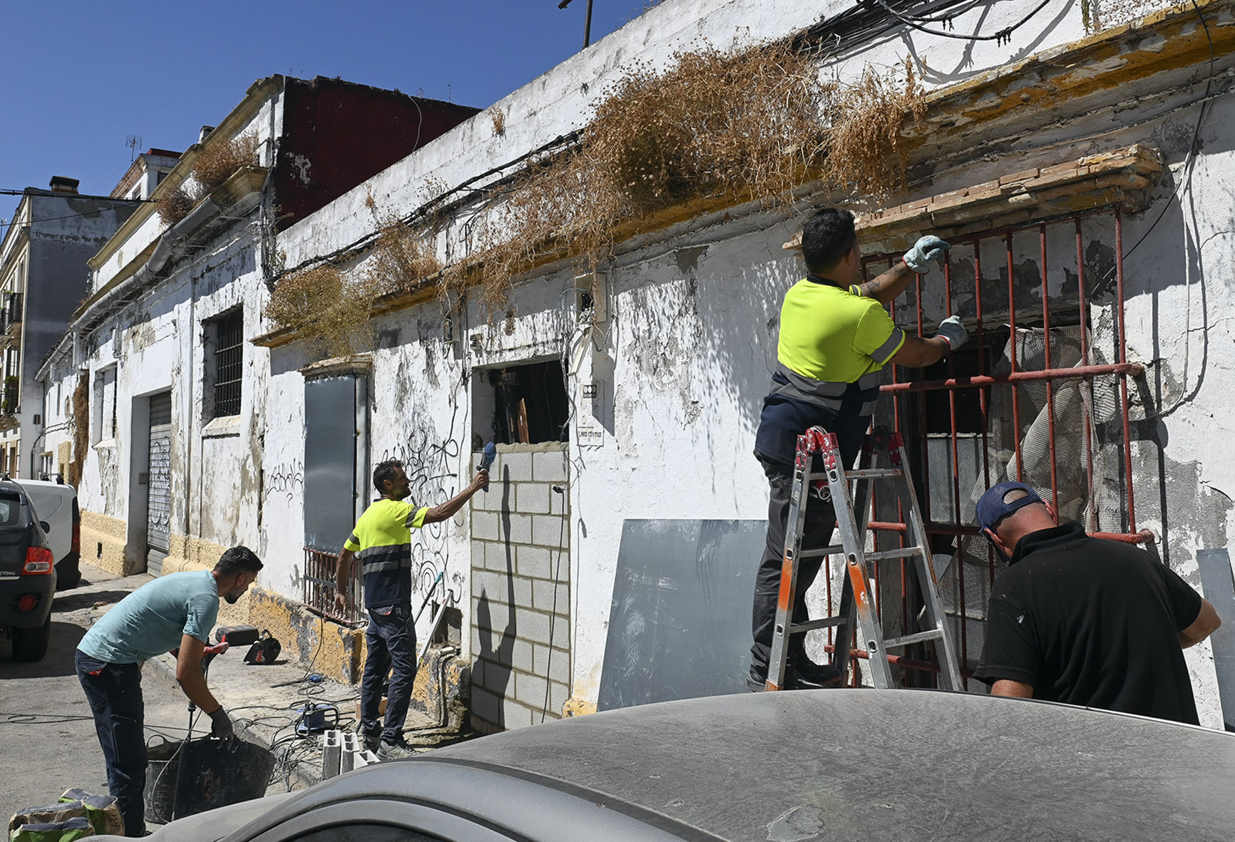 Tapiado en finca calle Don Juan