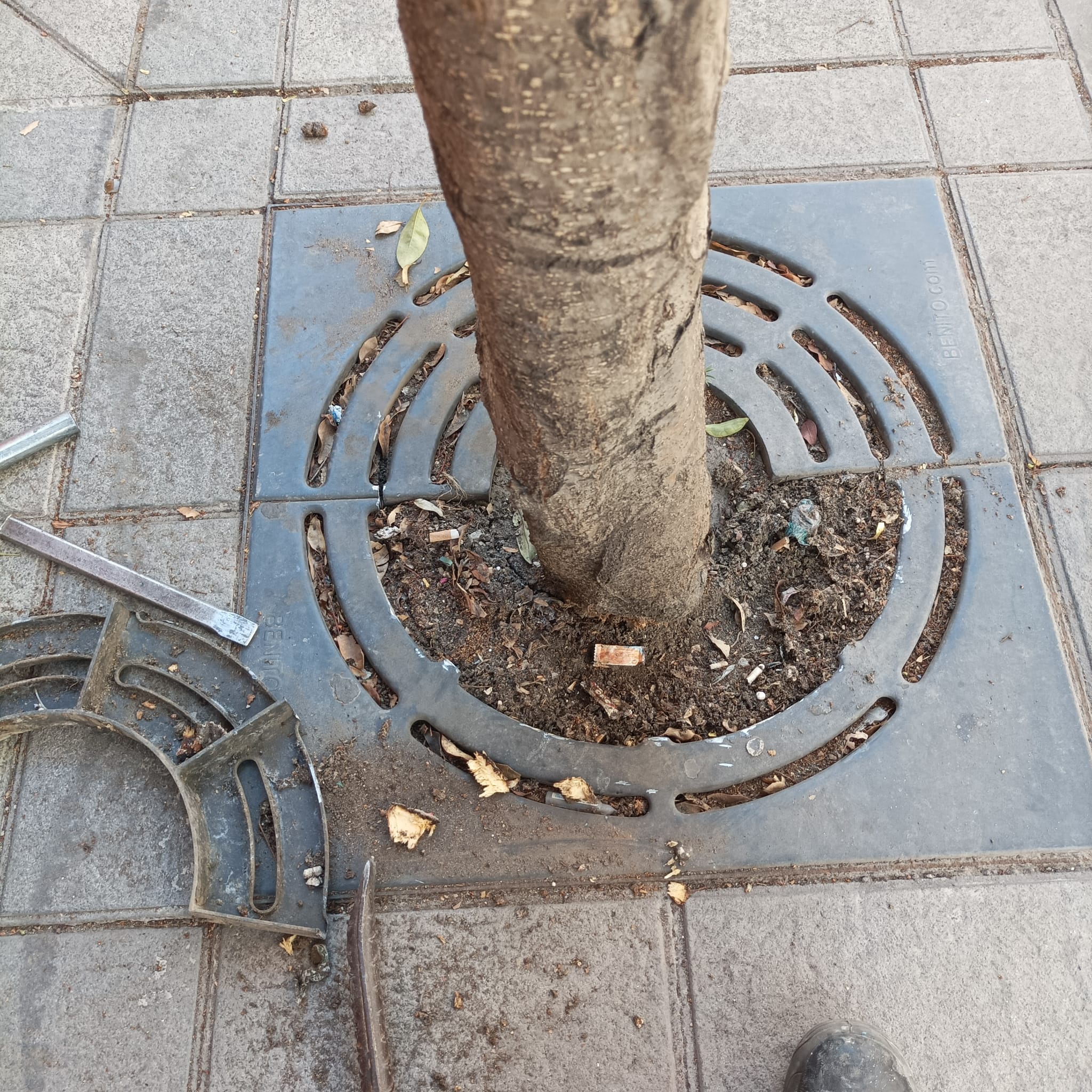 Medio Ambiente retira los cubre alcorques