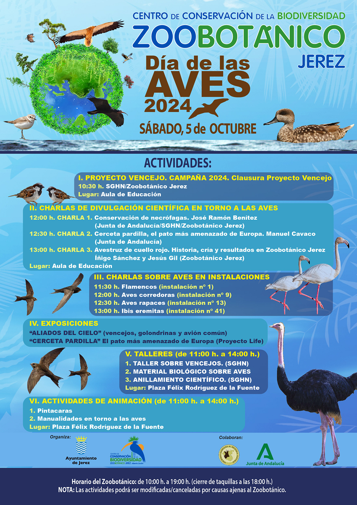 Cartel de la actividad