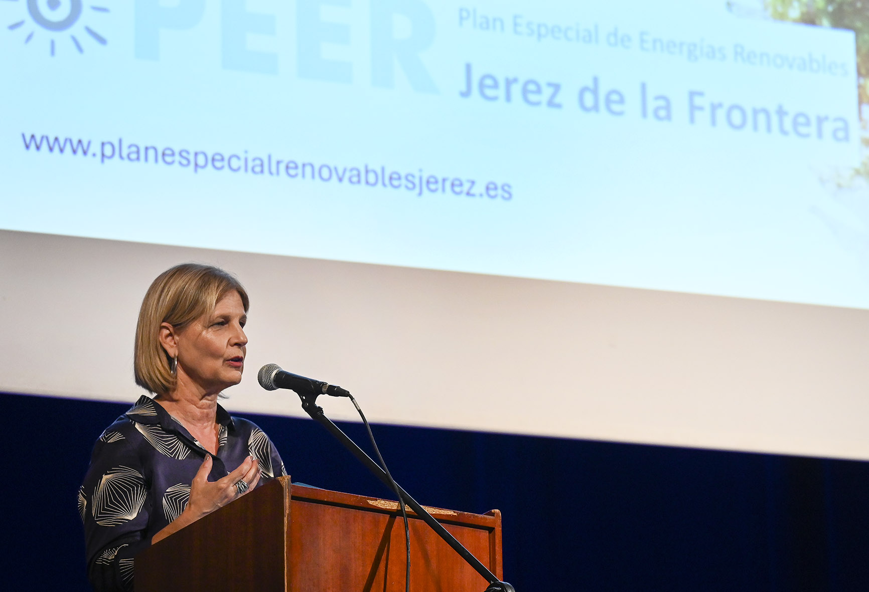 Archivo. Alcaldesa presenta Plan Especial Energías Renovables