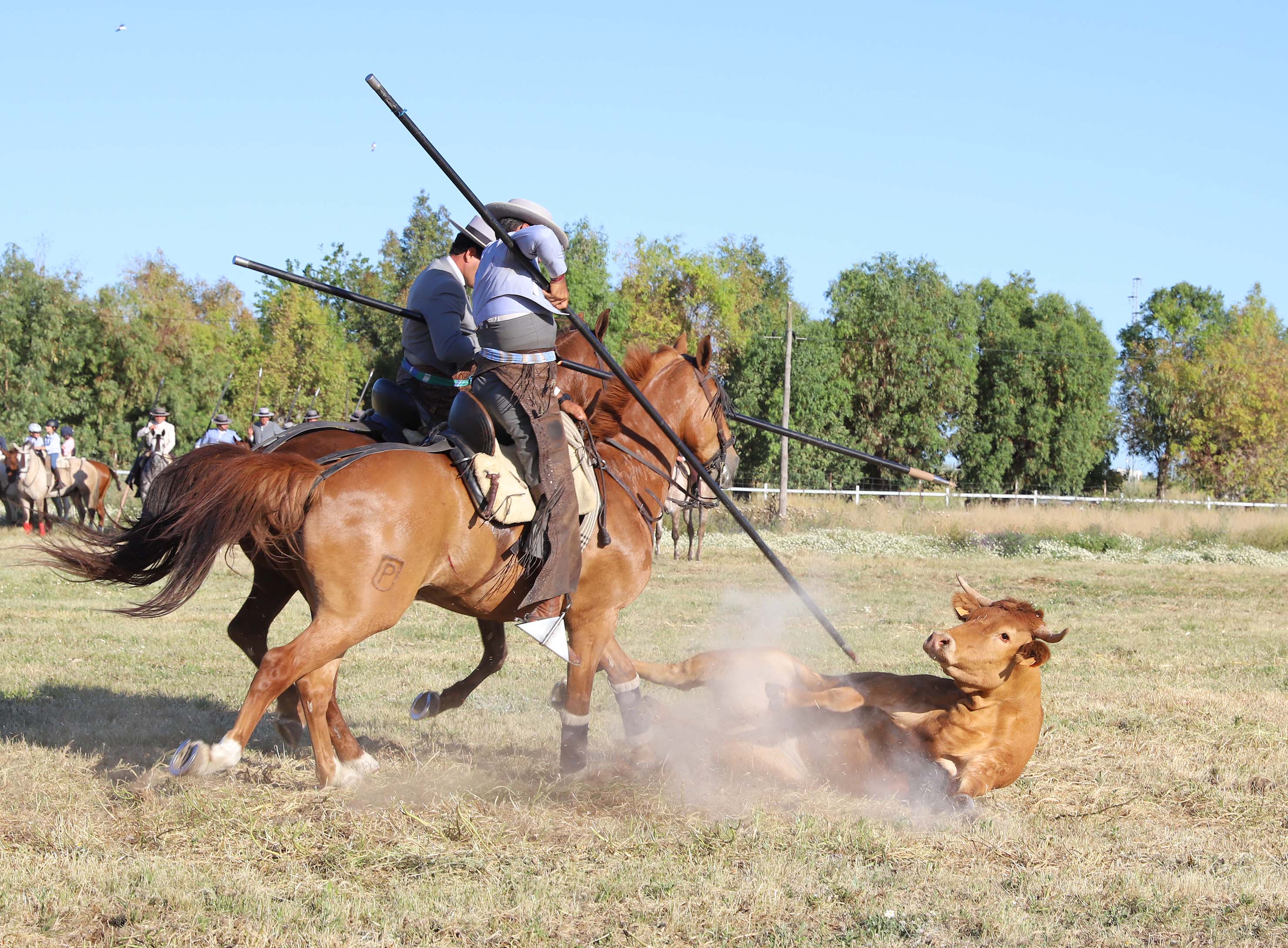 Concurso de Acoso y Derribo