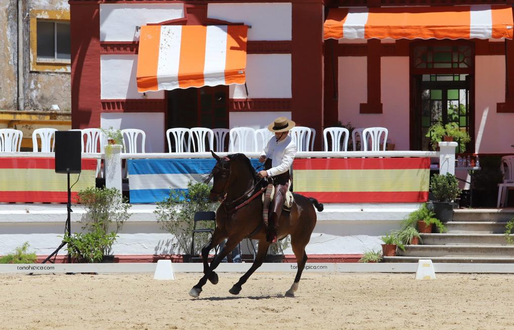 Belleza y calidad en las pruebas ecuestres