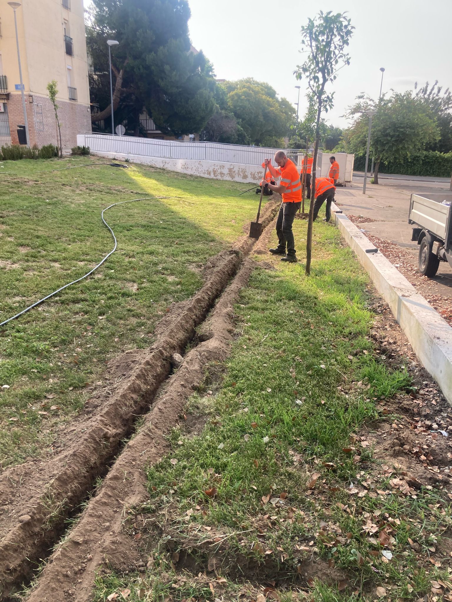 El Ayuntamiento acomete obras en la plaza Venus