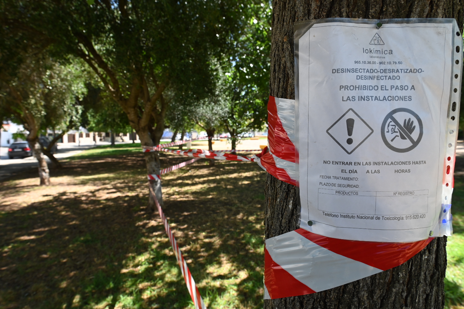 El Ayuntamiento intensifica las labores de desratización en La Marquesa