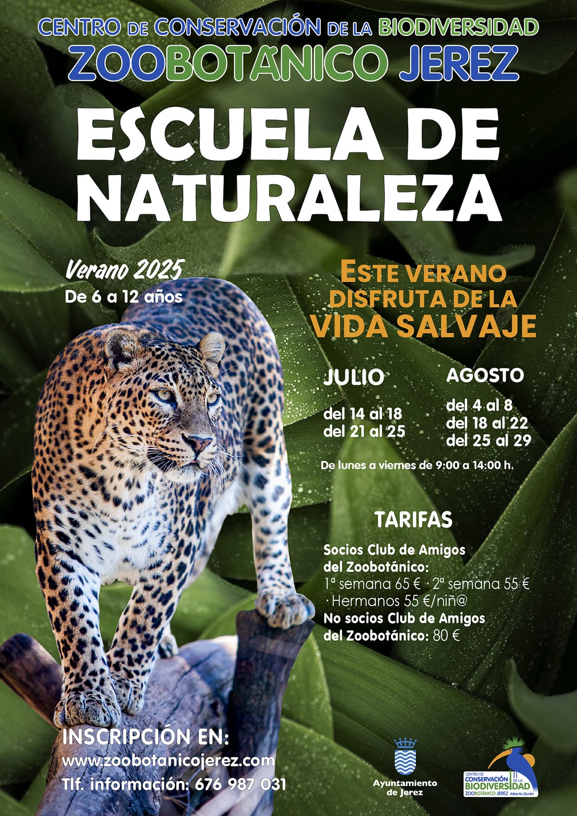 La Escuela de Verano vuelve al Zoobotánico