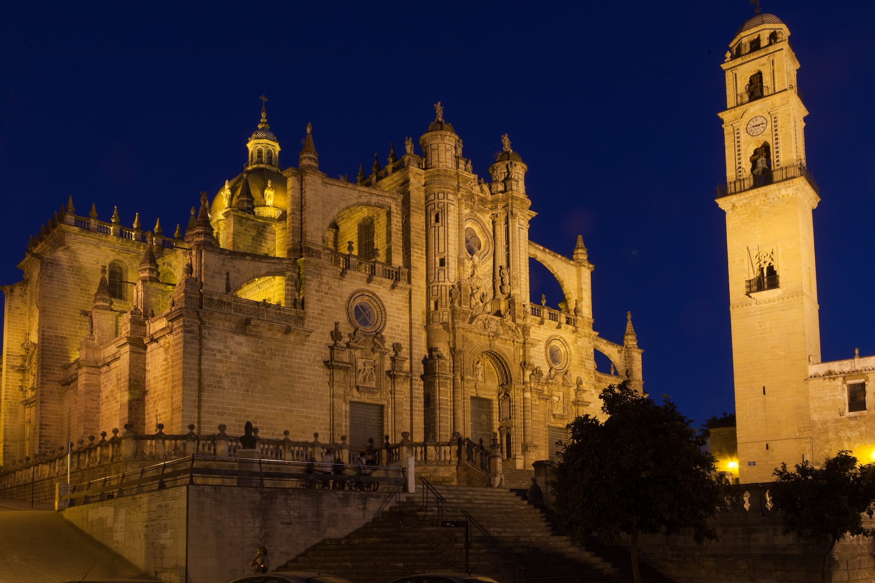 Visita guiada a la Catedral
