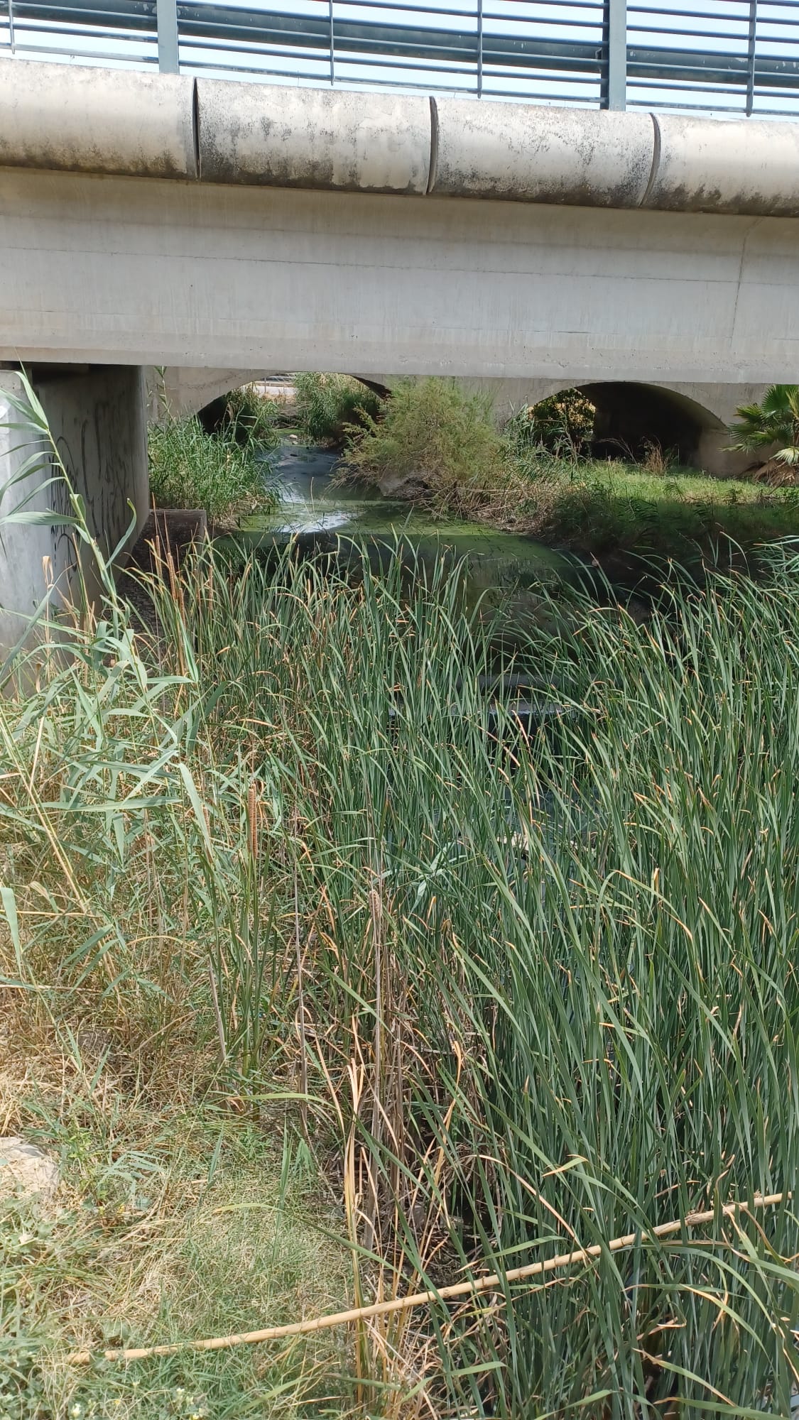 El Ayuntamiento sigue controlando el entorno de la Laguna de Medina