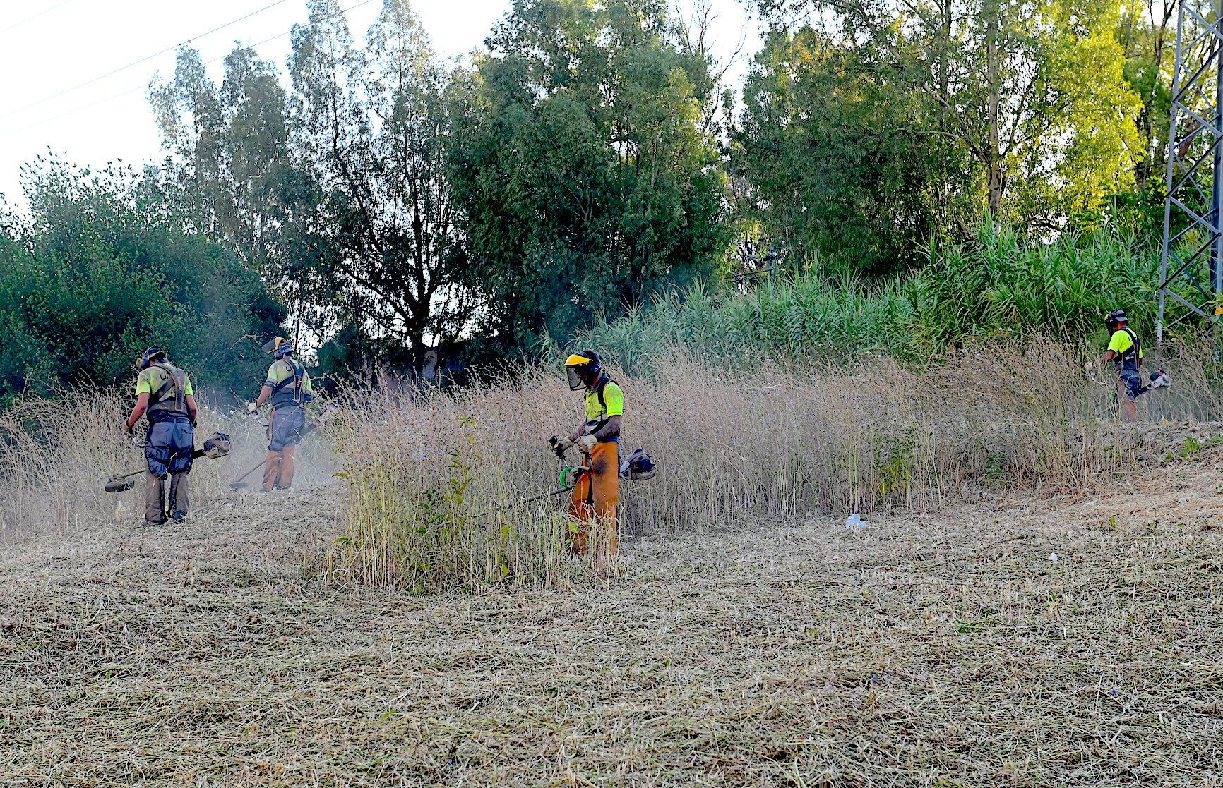 Se intensifican los trabajos de desbroce en la ciudad
