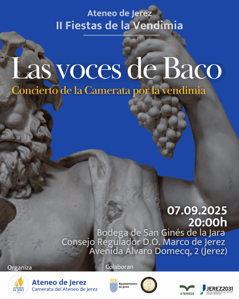 Cartel concierto Camerata