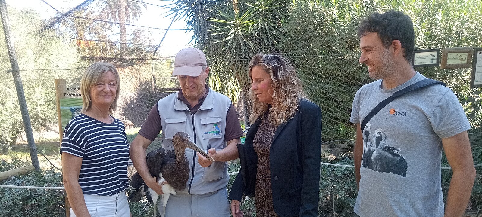 Una cigüeña negra nacida en el Zoo se ha trasladado al GREFA de Madrid