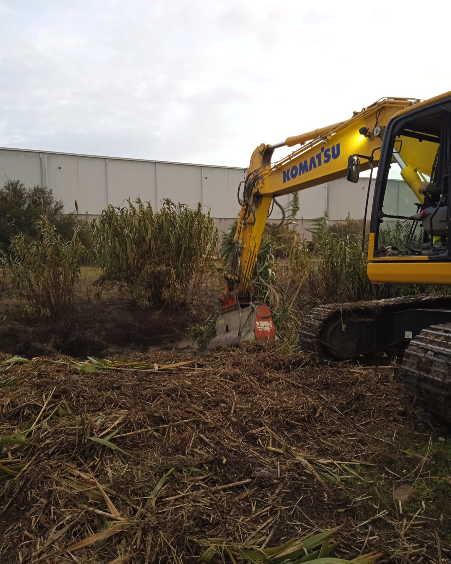El Ayuntamiento está procediendo a la limpieza del canal de Guadalcacín