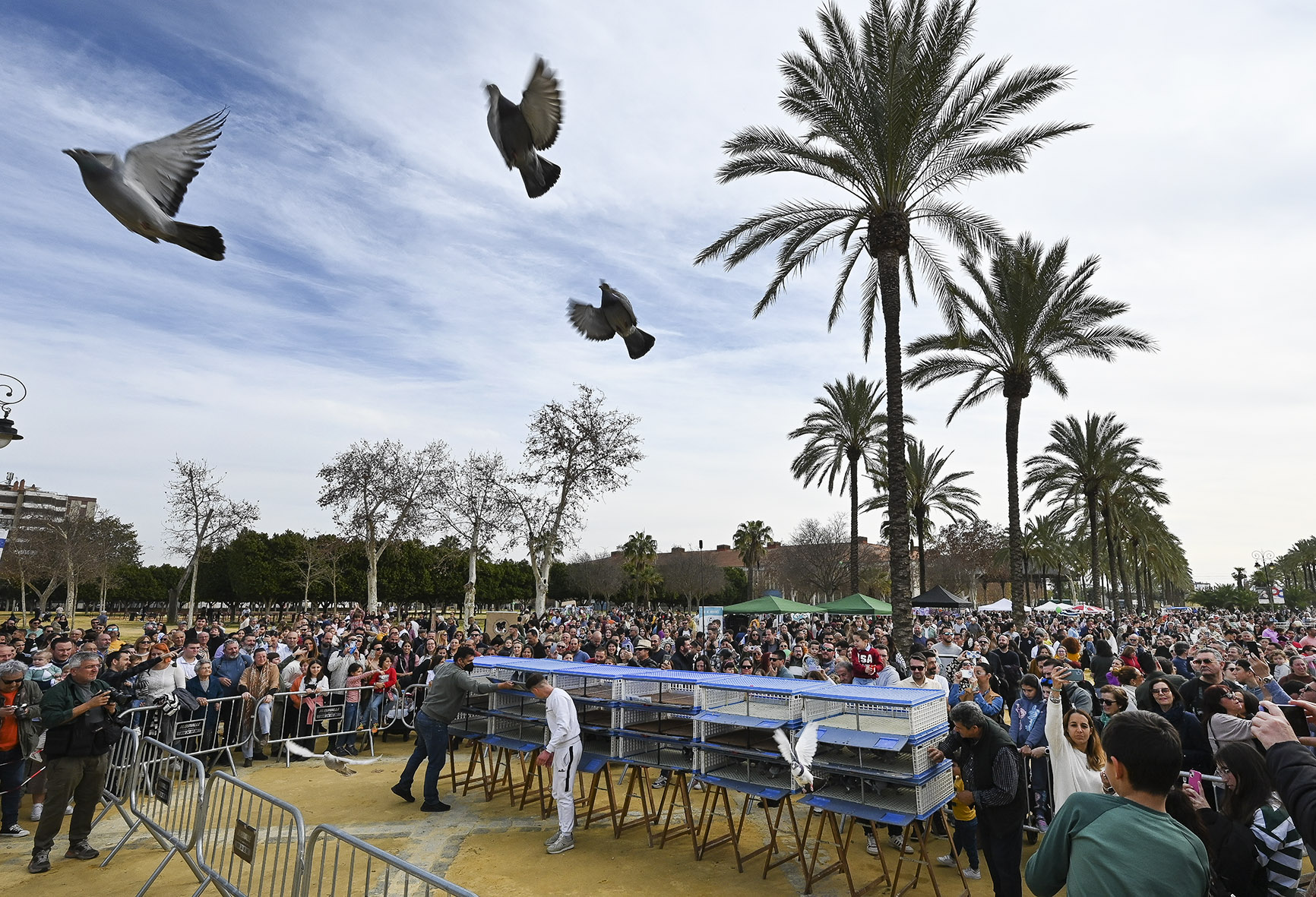 El Ayuntamiento cancela la celebración de San Antón y programa una fiesta de mascotas