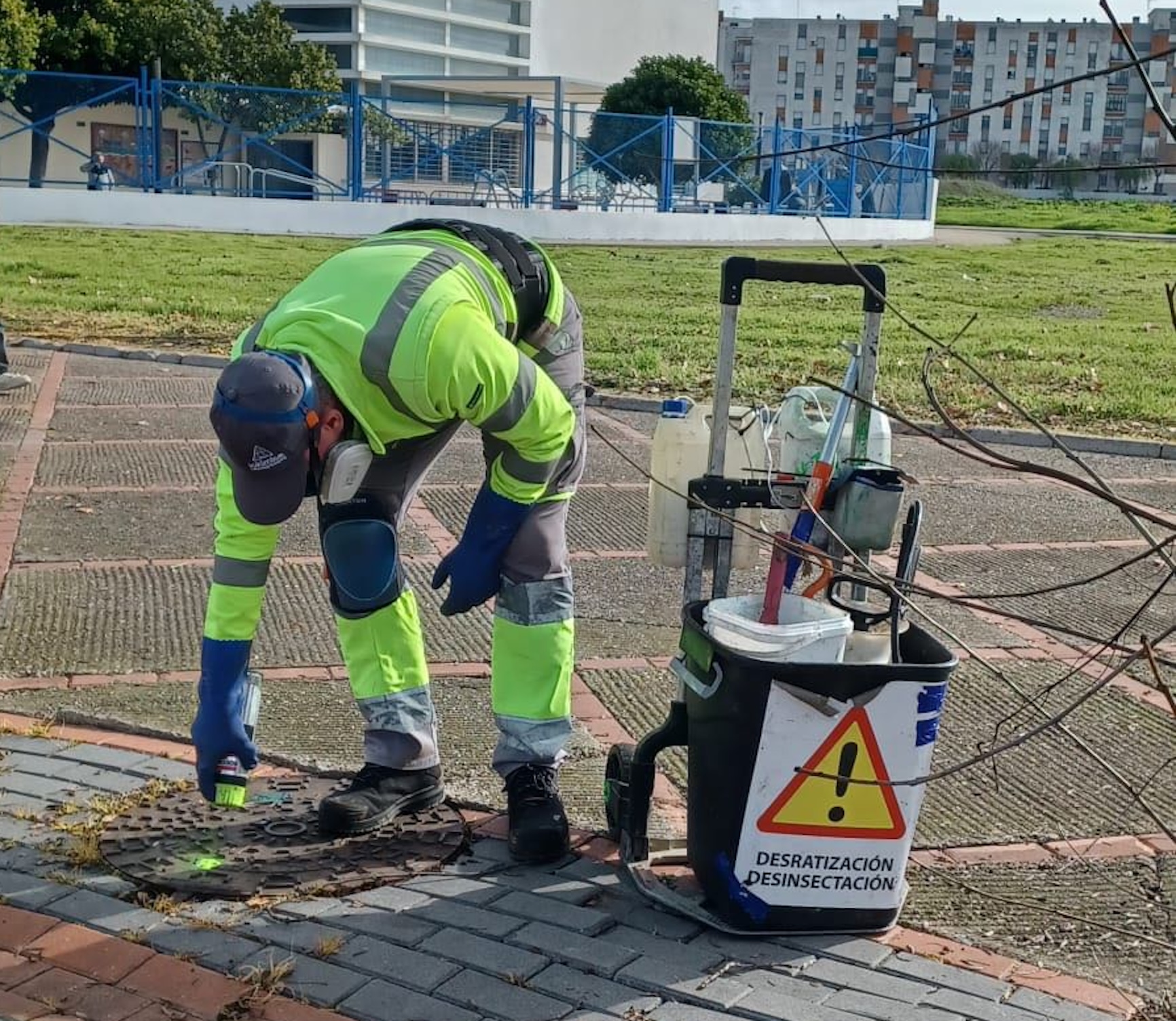 Protección Animal hace balance de las intervenciones realizadas en 2025