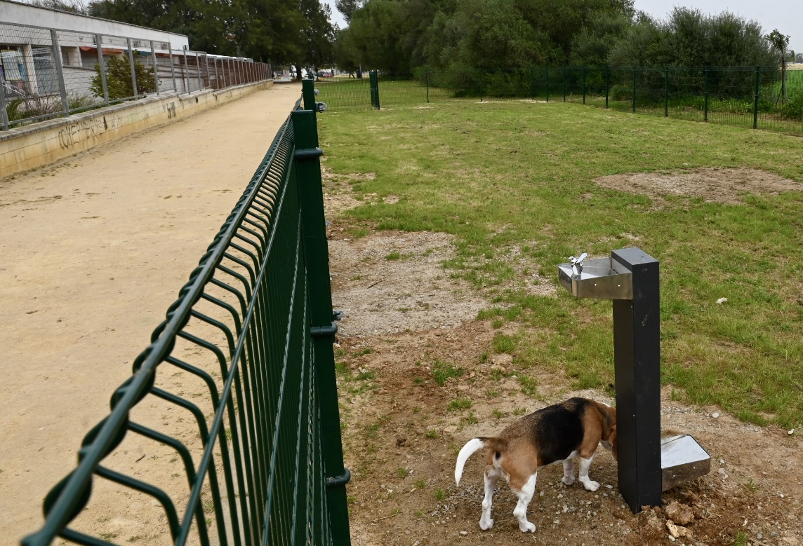 parque canino