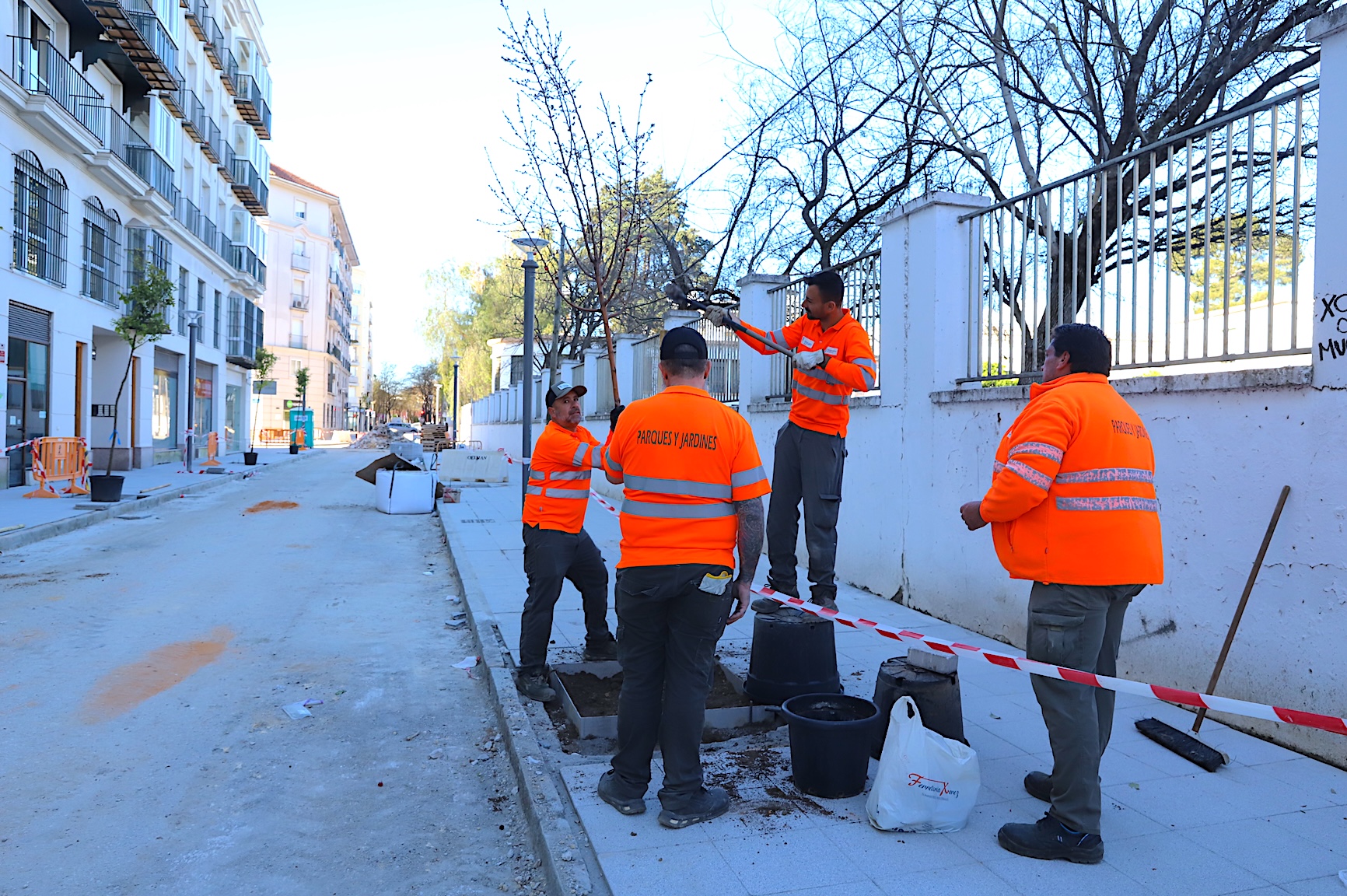El Ayuntamiento está acometiendo la plantación de árboles en la calle Santo Domingo