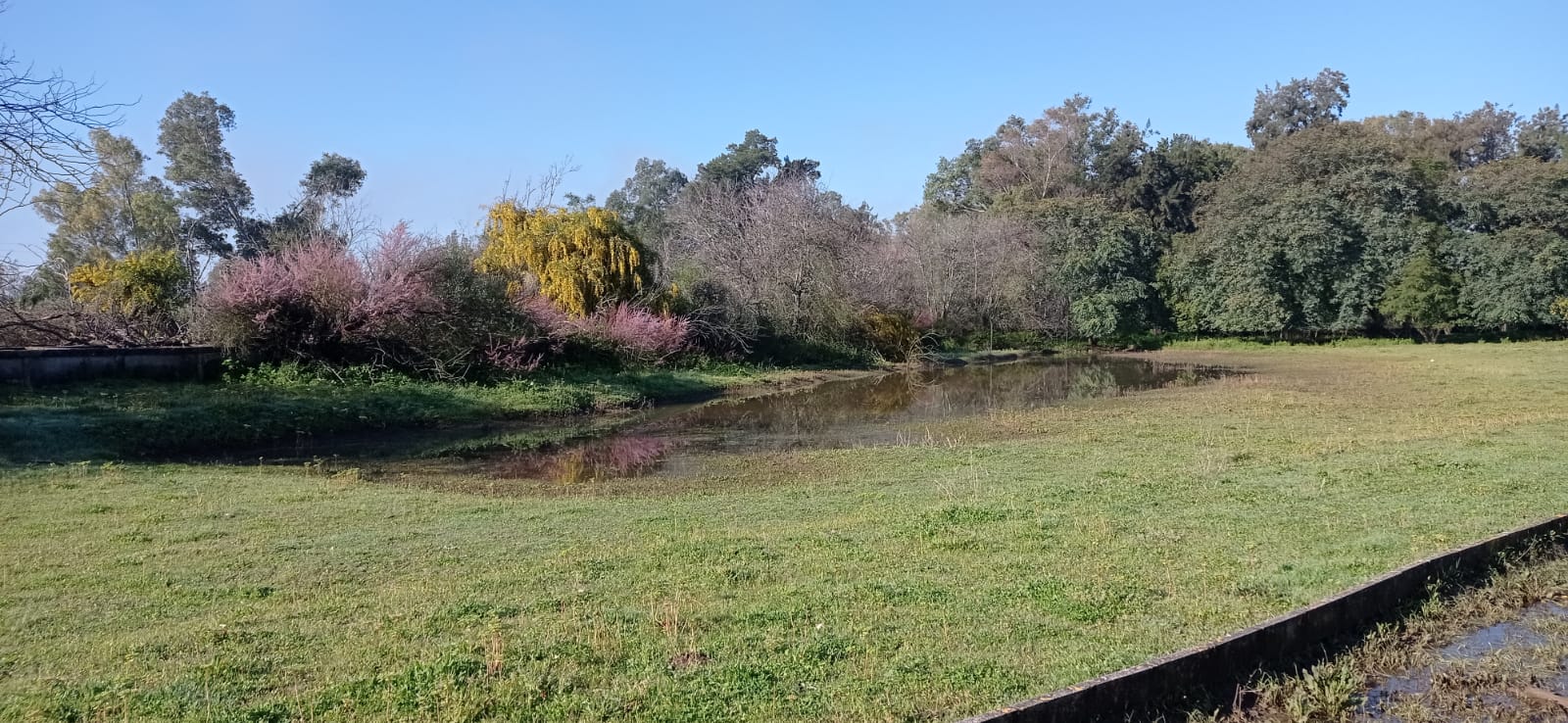 El Ayuntamiento inicia un estudio sobre el Parque Periurbano de Santa Teresa