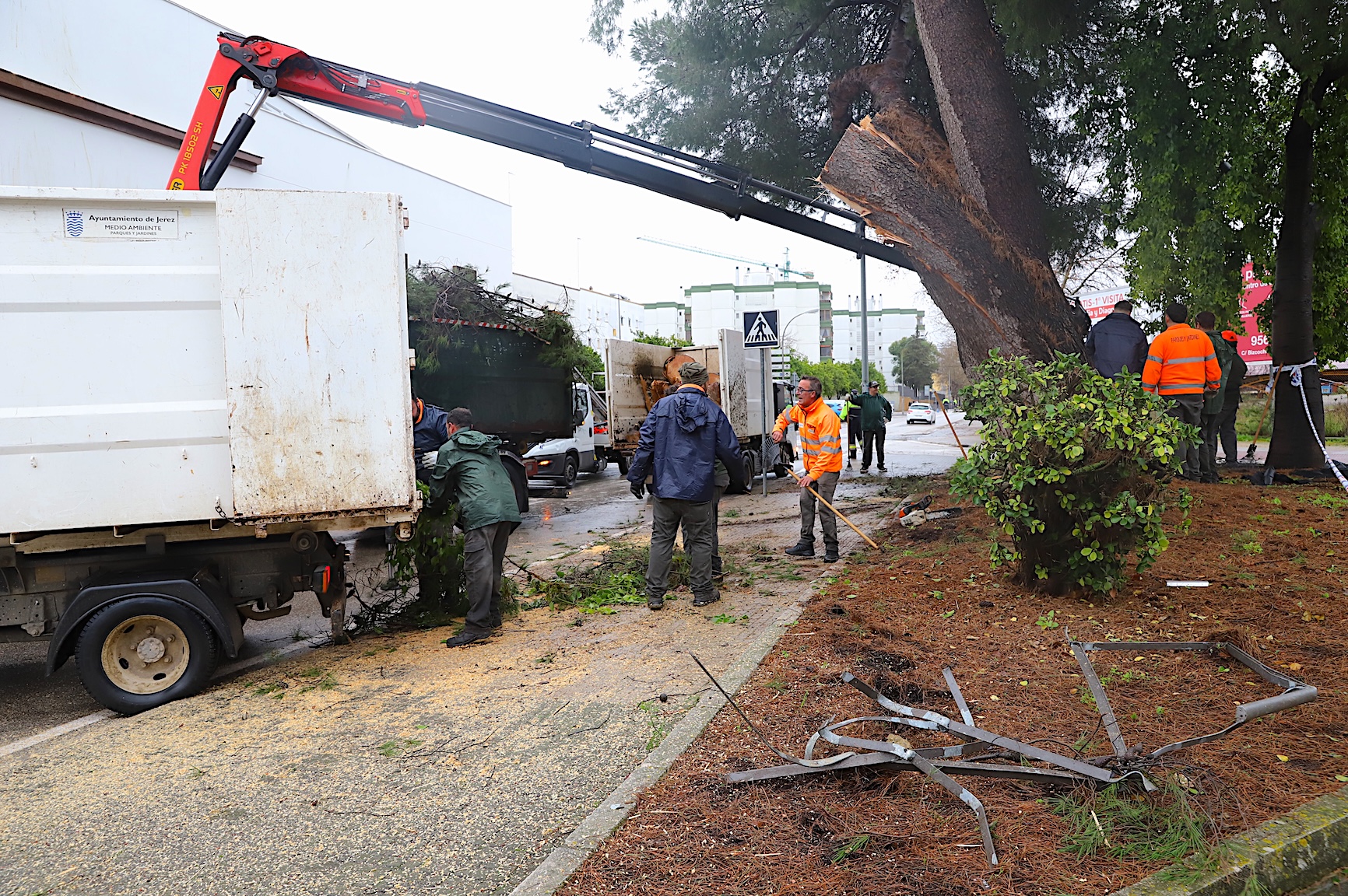 La Junta de Gobierno Local adjudica el nuevo contrato de parques y jardines