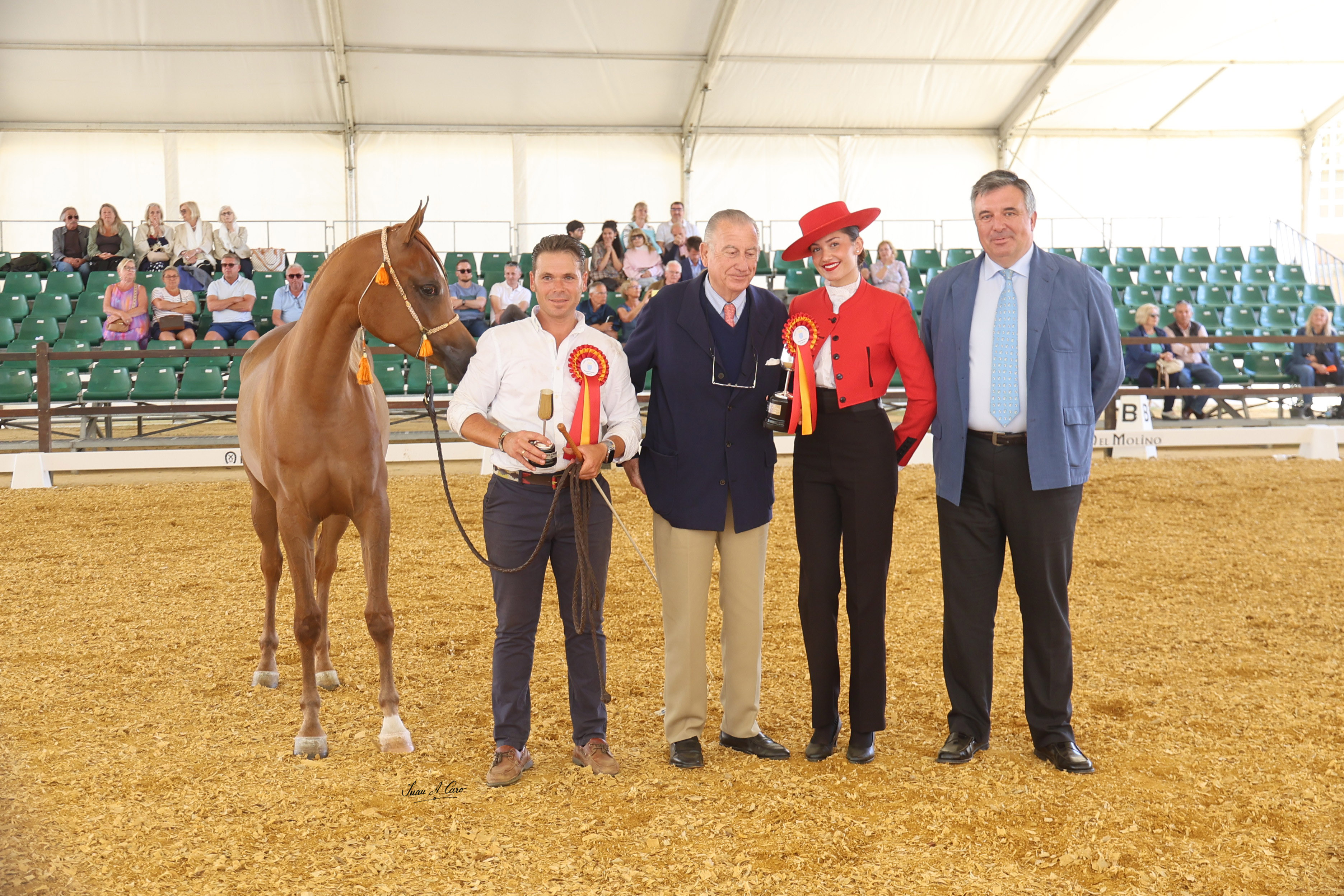 La Yeguada Domecq Ybarra recibe el Premio al Mejor Criador