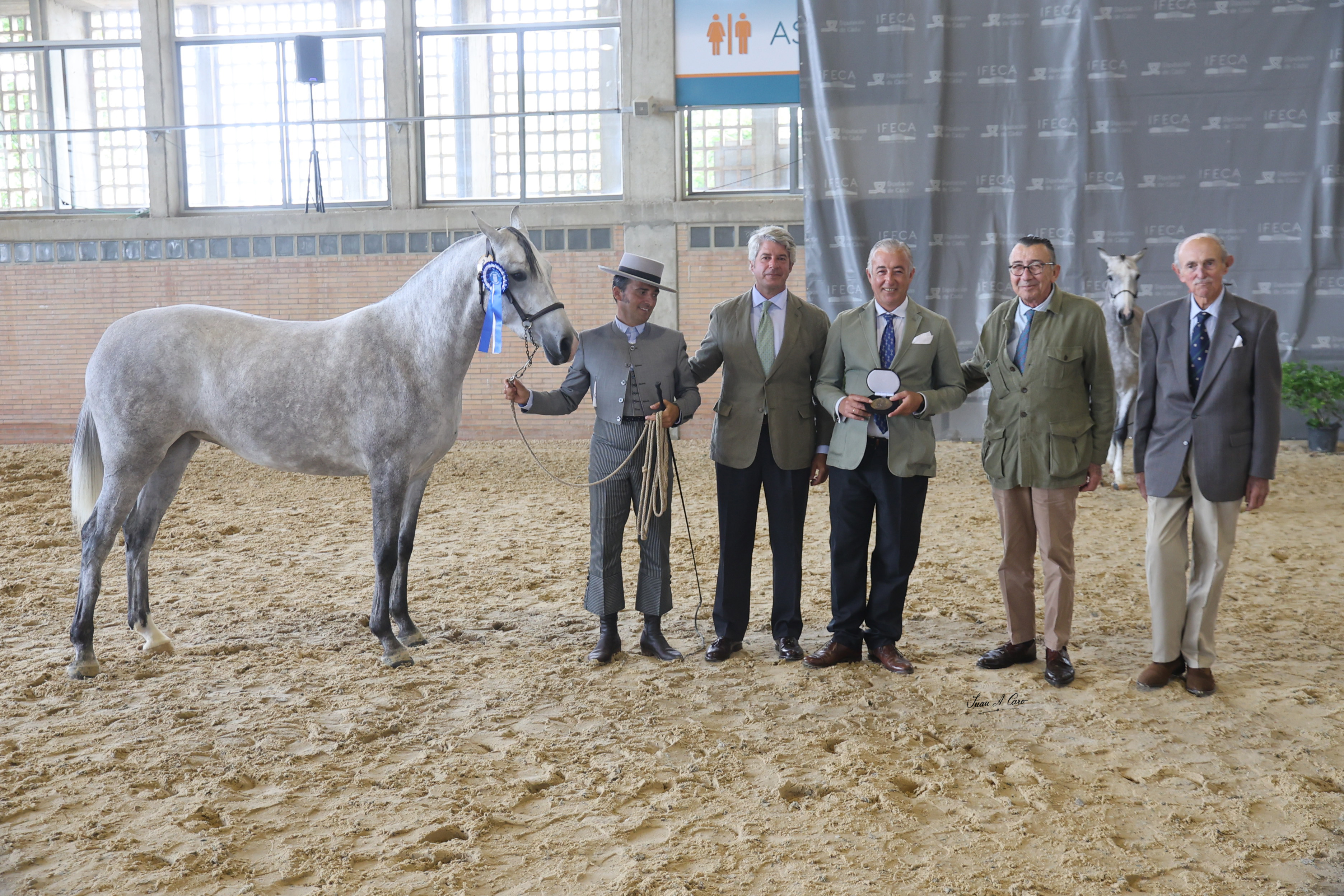 Peregrina es uno de los ganadores en la categoría de Hispano Árabe