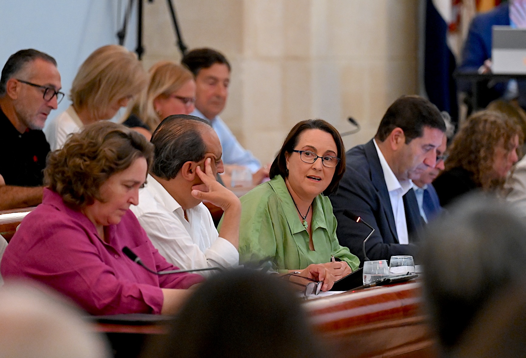 El Pleno aprueba el Plan Estratégico del Centro Comercial Abierto