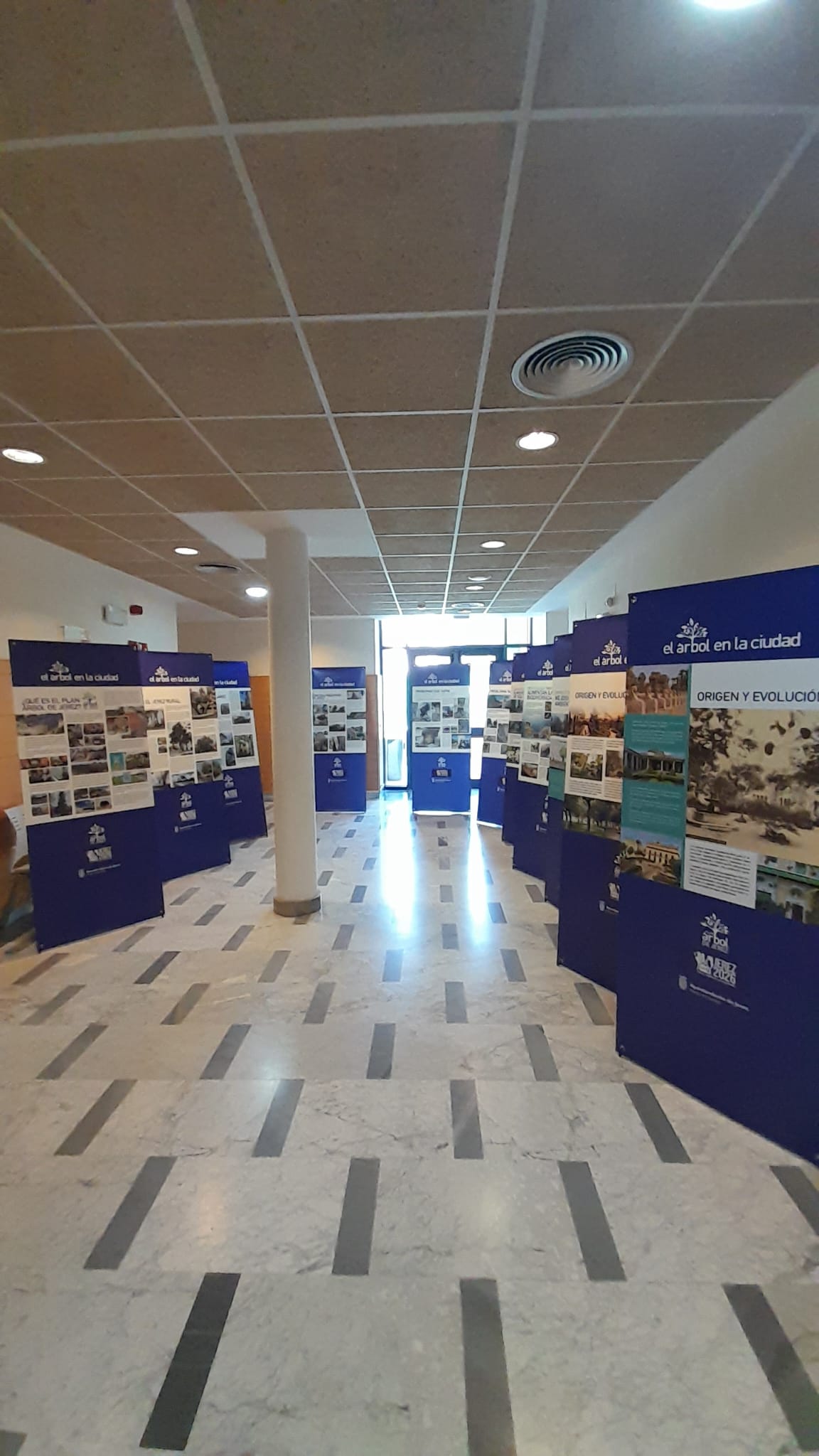 La exposición 'El árbol de la ciudad' se encuentra en el Centro Social Las Granja