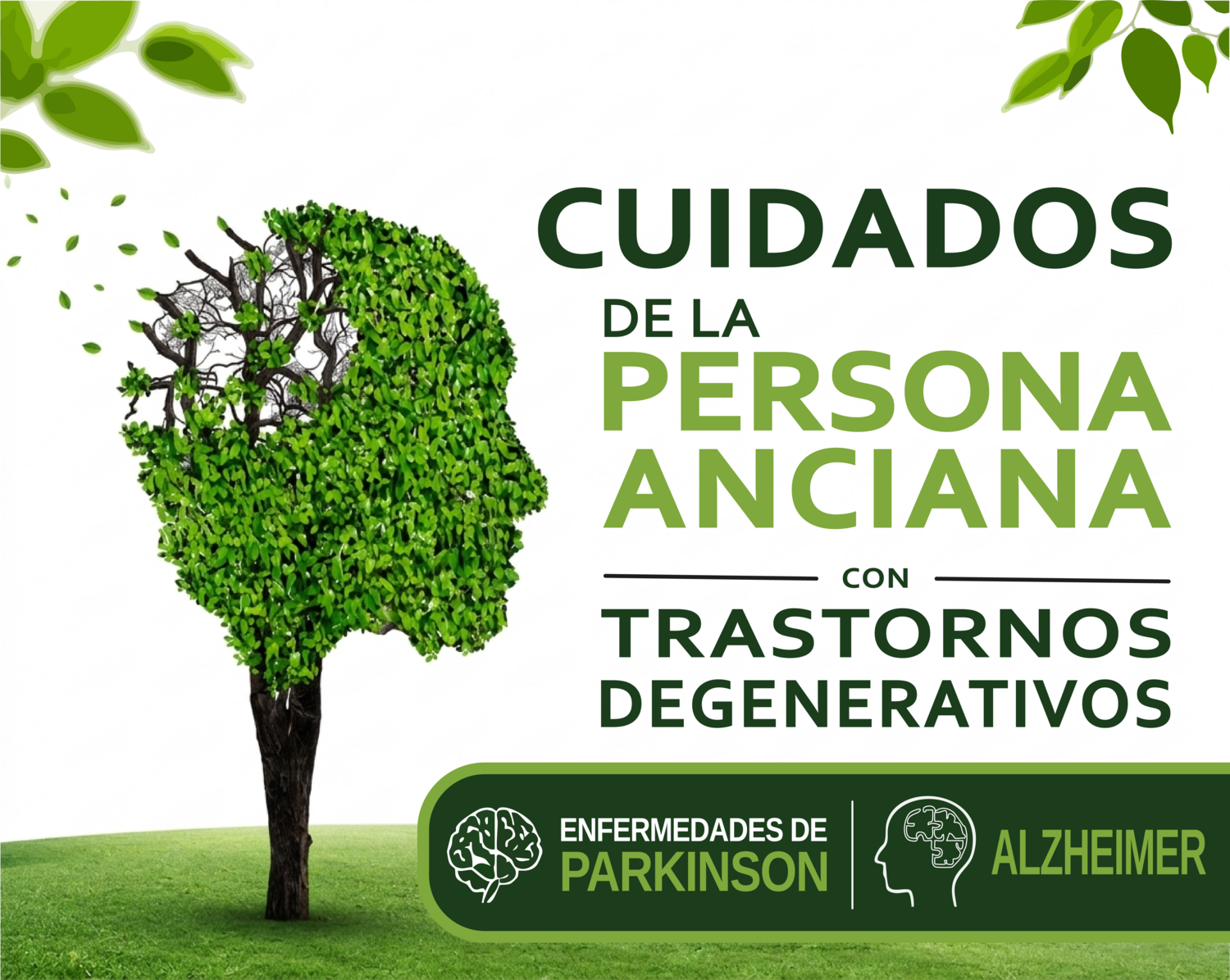 Cartel del curso que ha lanzado la Delegación de Empleo