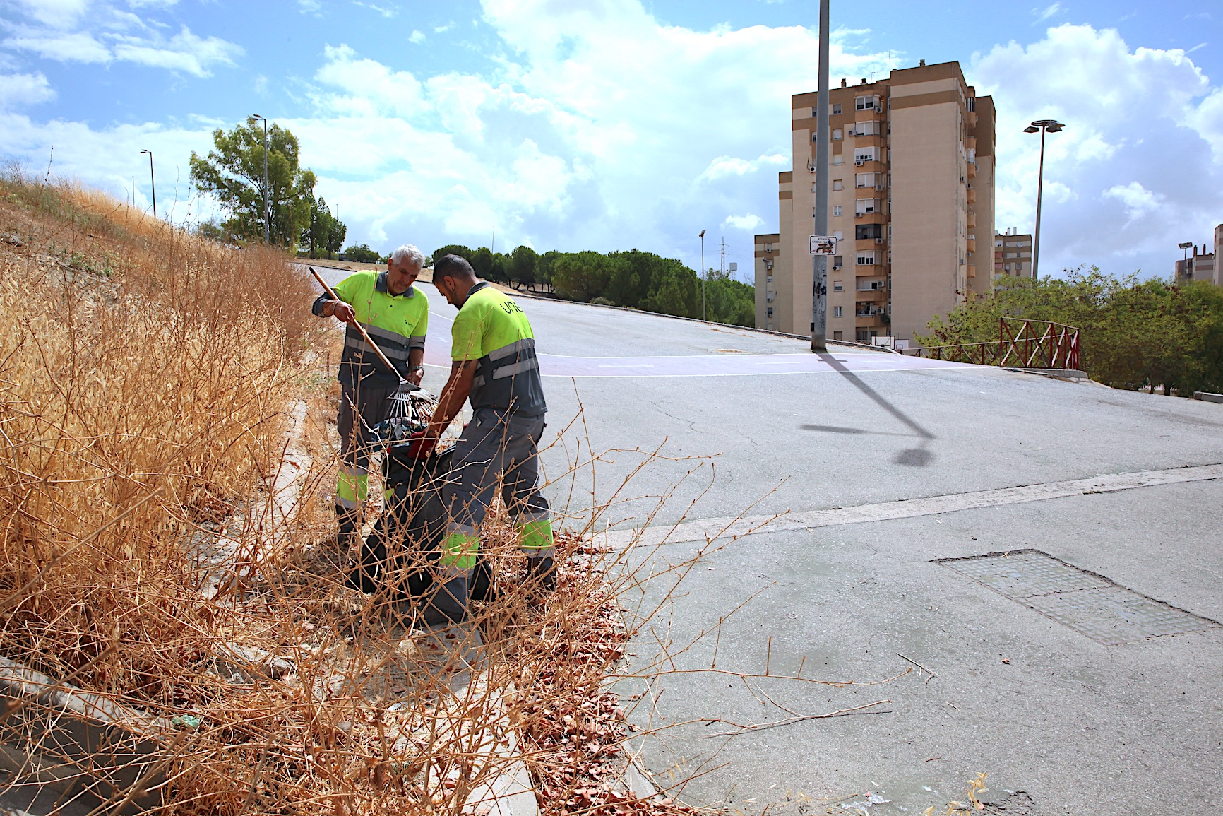 El Ayuntamiento continúa las labores de desbroce en distintos puntos de la ciudad