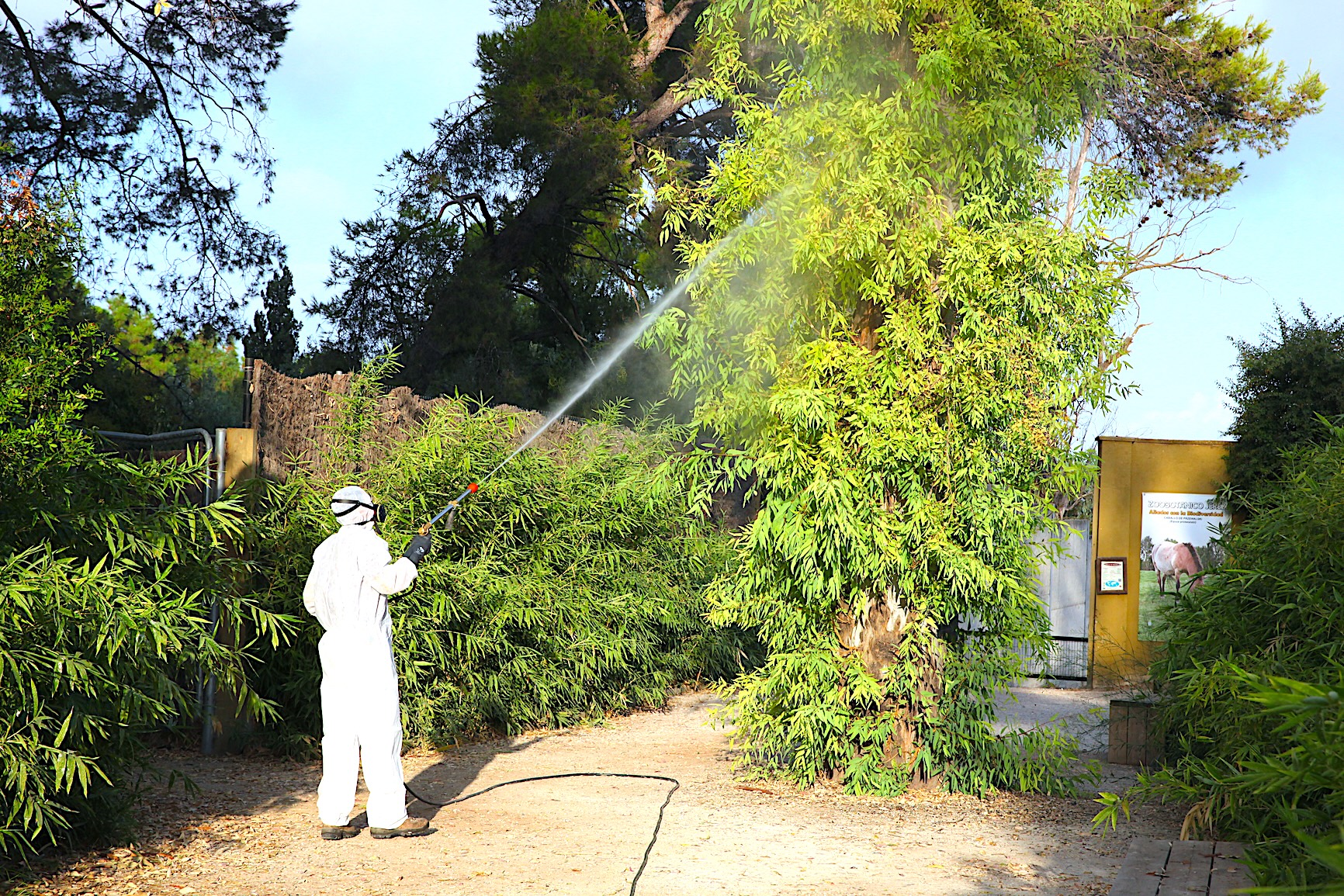 Se han reforzado las labores de fumigación en el Zoobotánico
