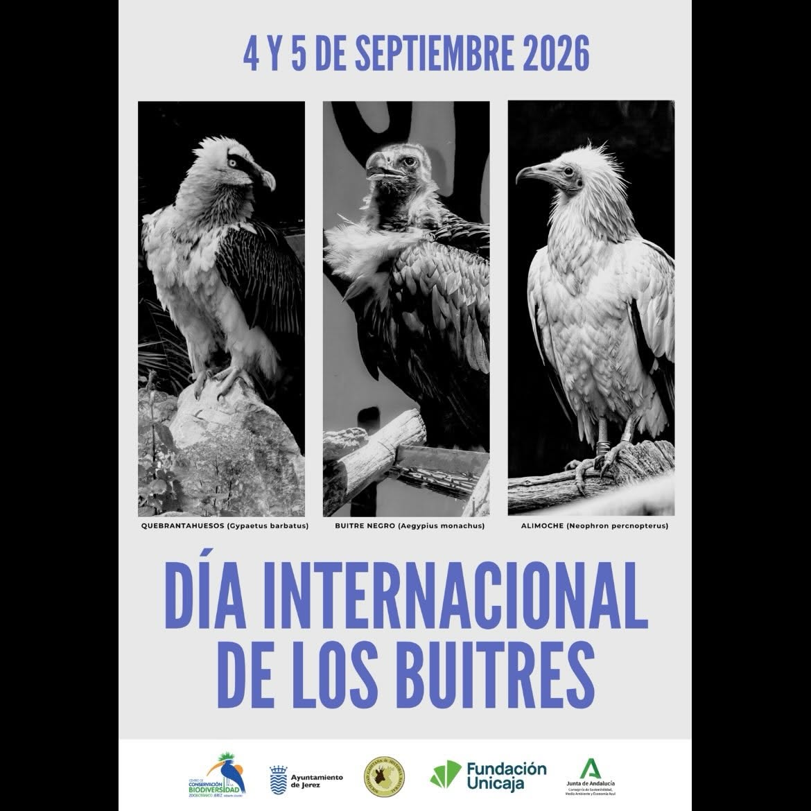 Cartel del Día Internacional de los Buitres