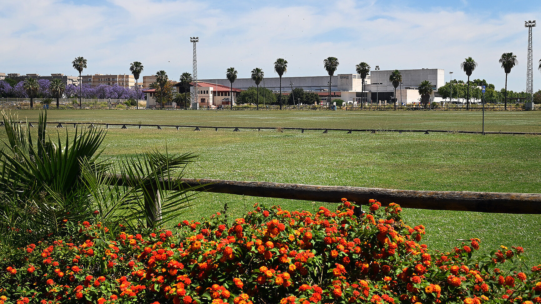 Chapín