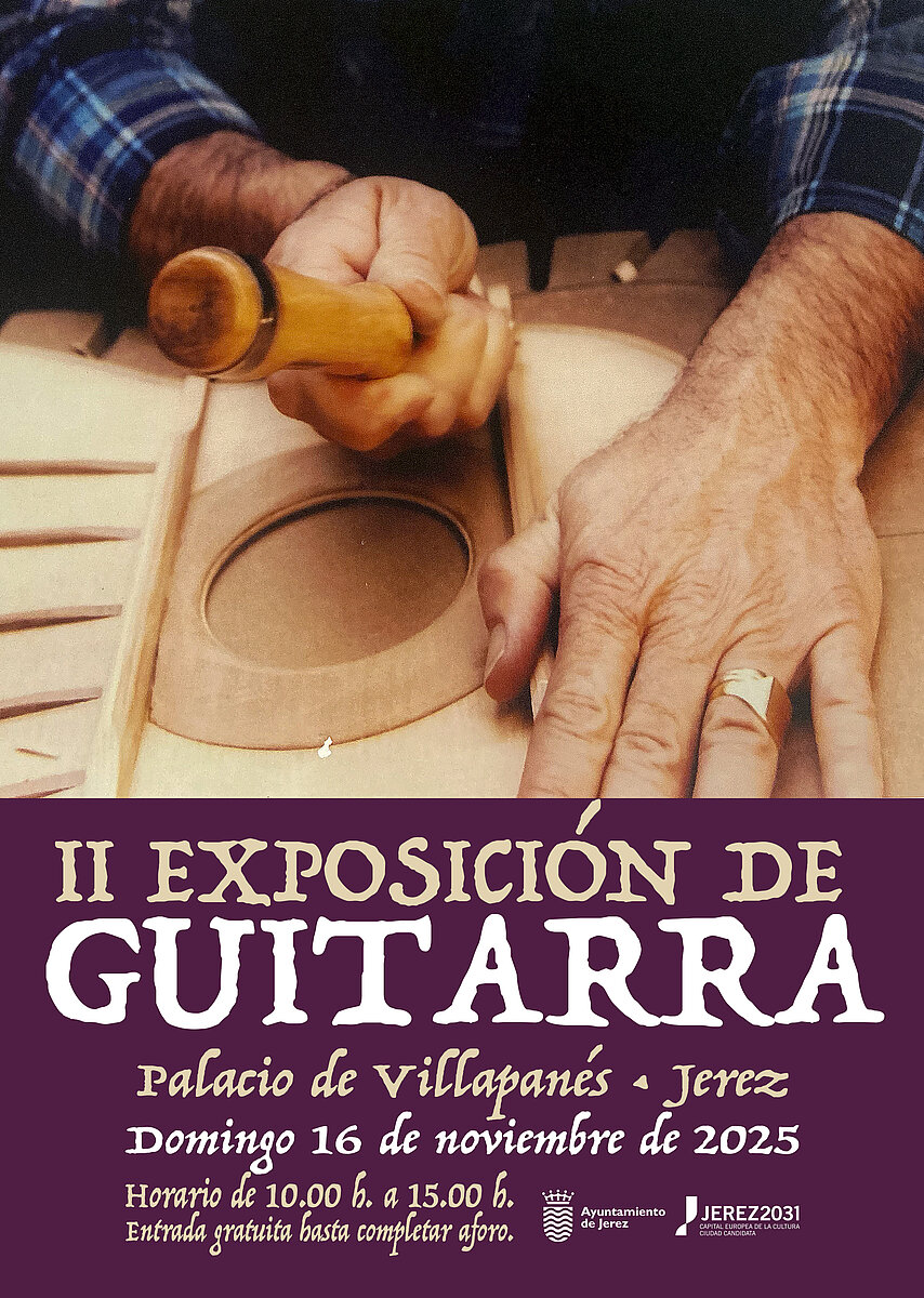 Muestra de Guitarra
