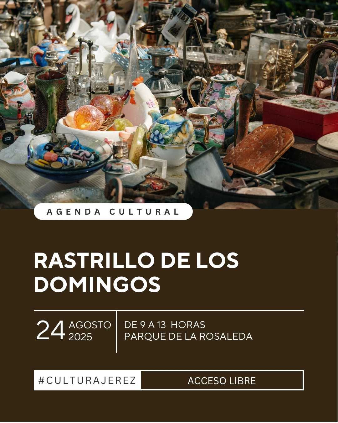 Rastrillo Domingo 24