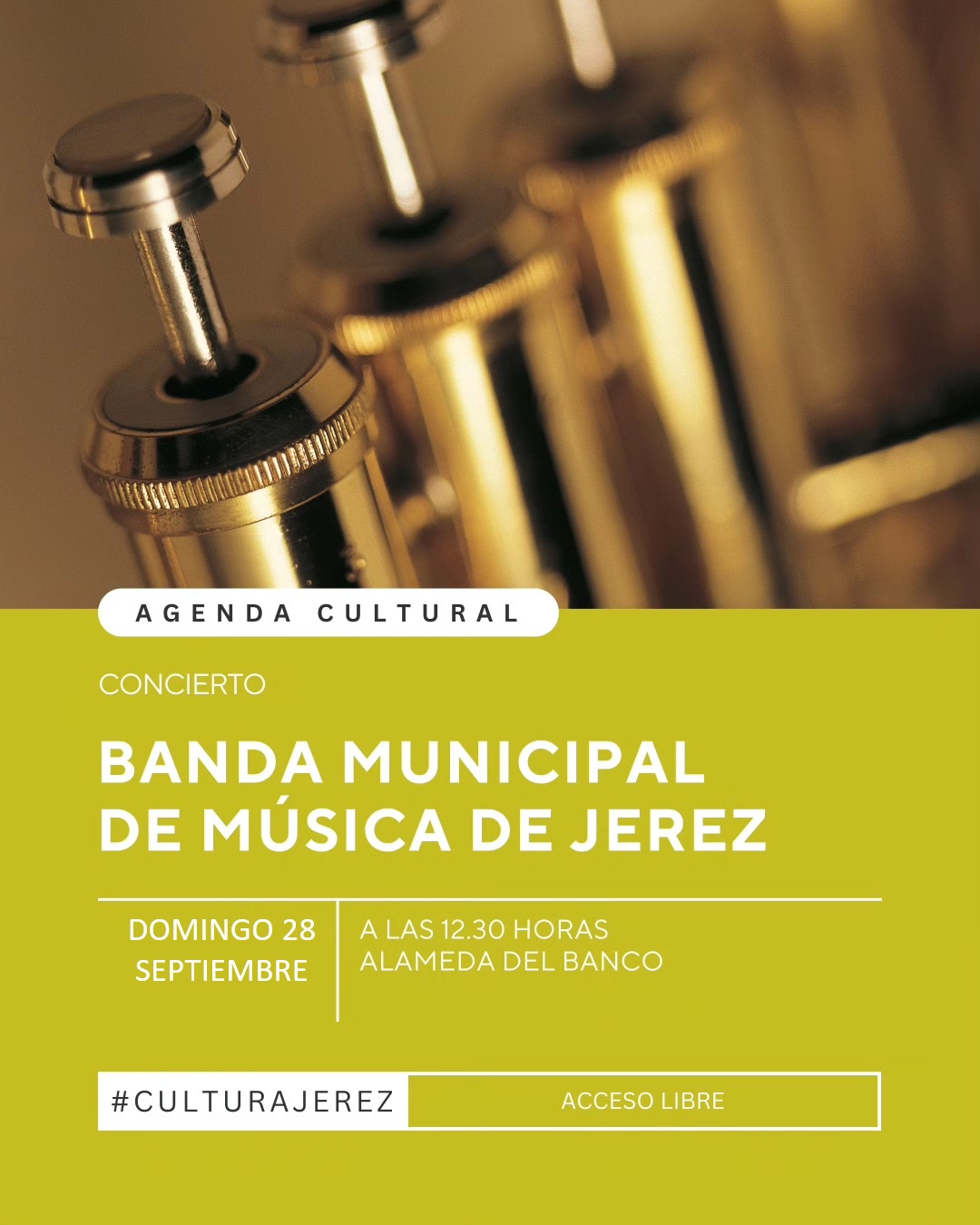 Concierto Banda de Música