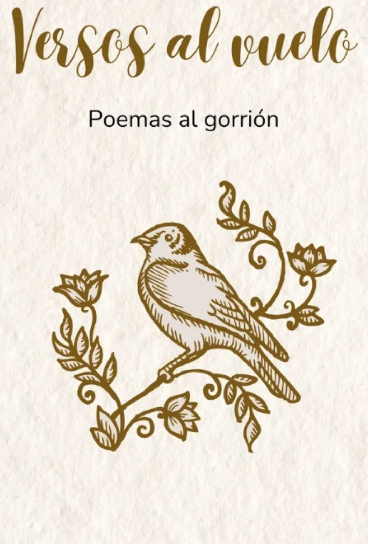 Vuelo
