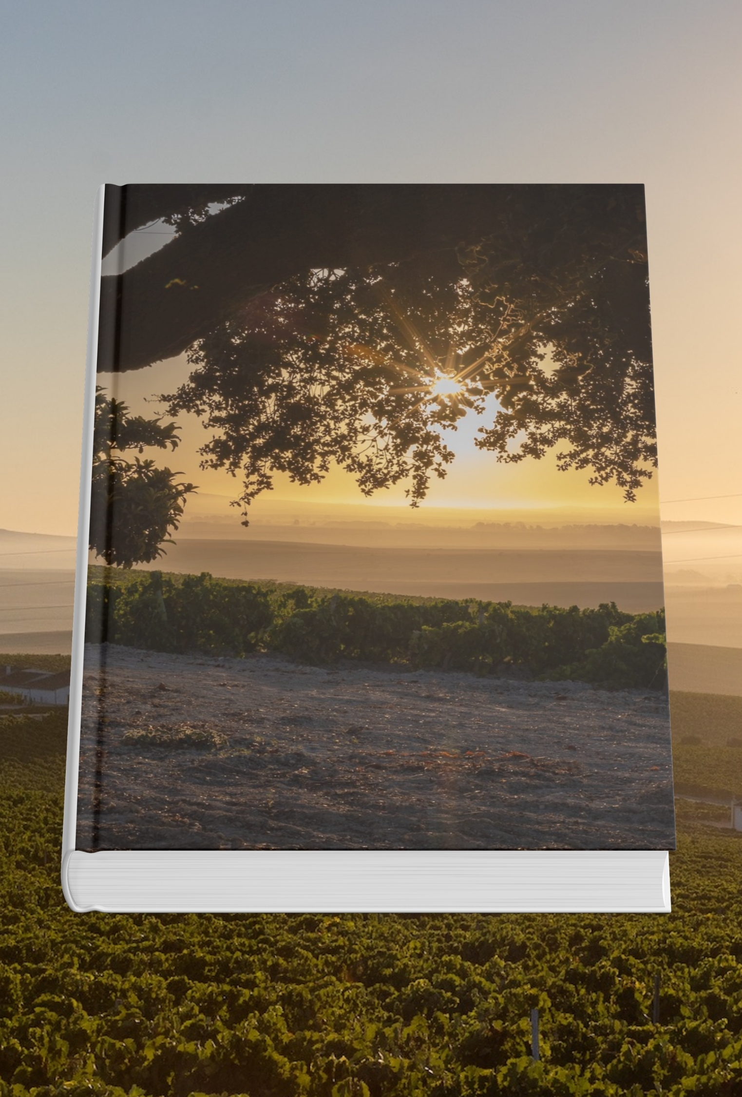 Coloquio