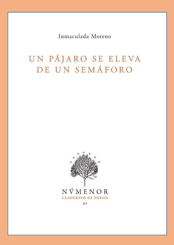 Un pájaro se eleva portada