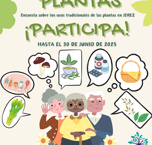 plantas