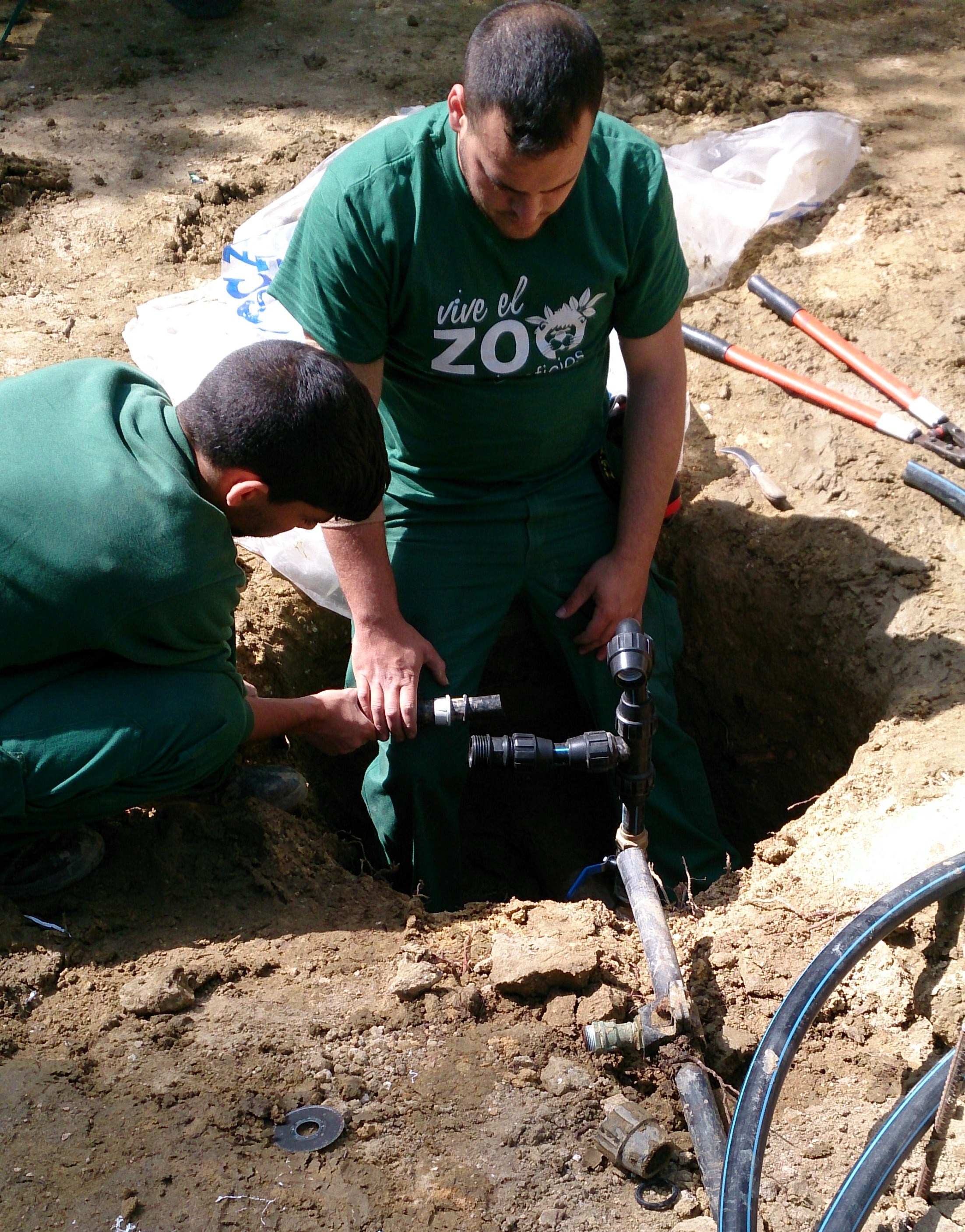 Imagen5